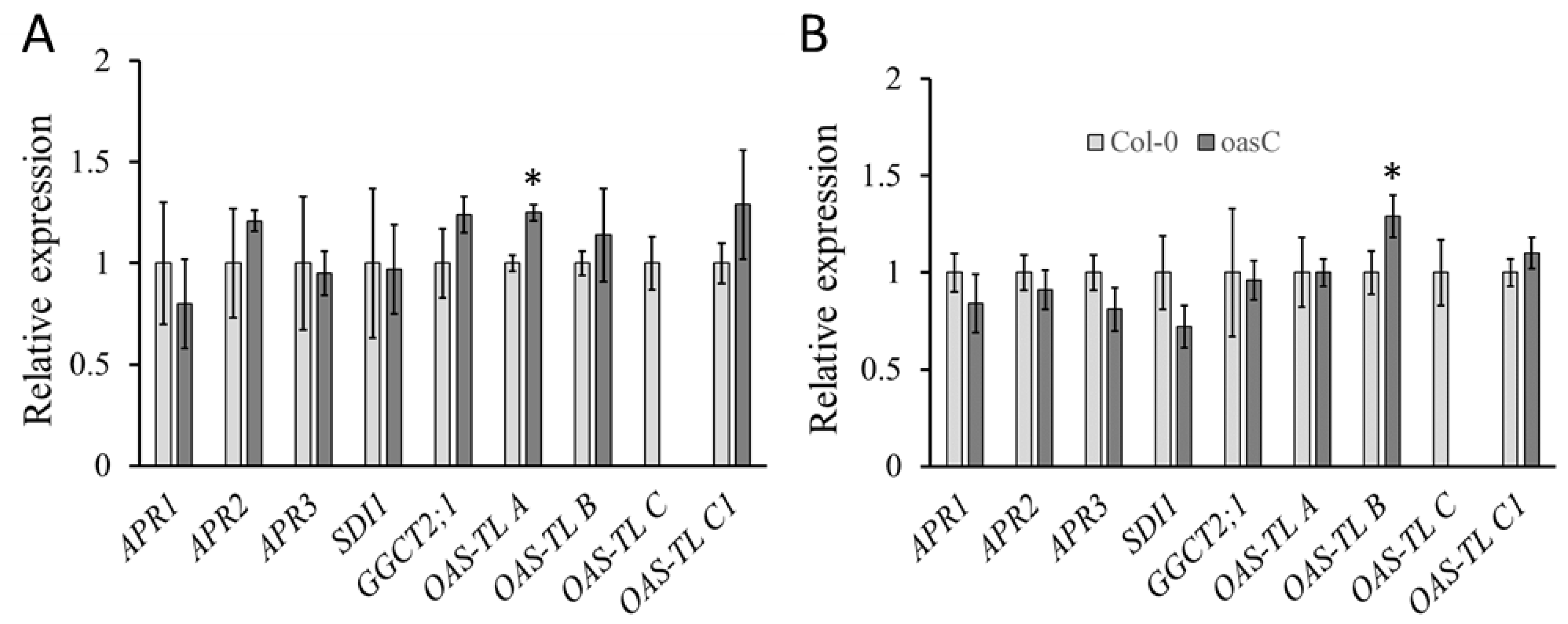 Plants 12 00035 g003 Plants 12 00035 g003