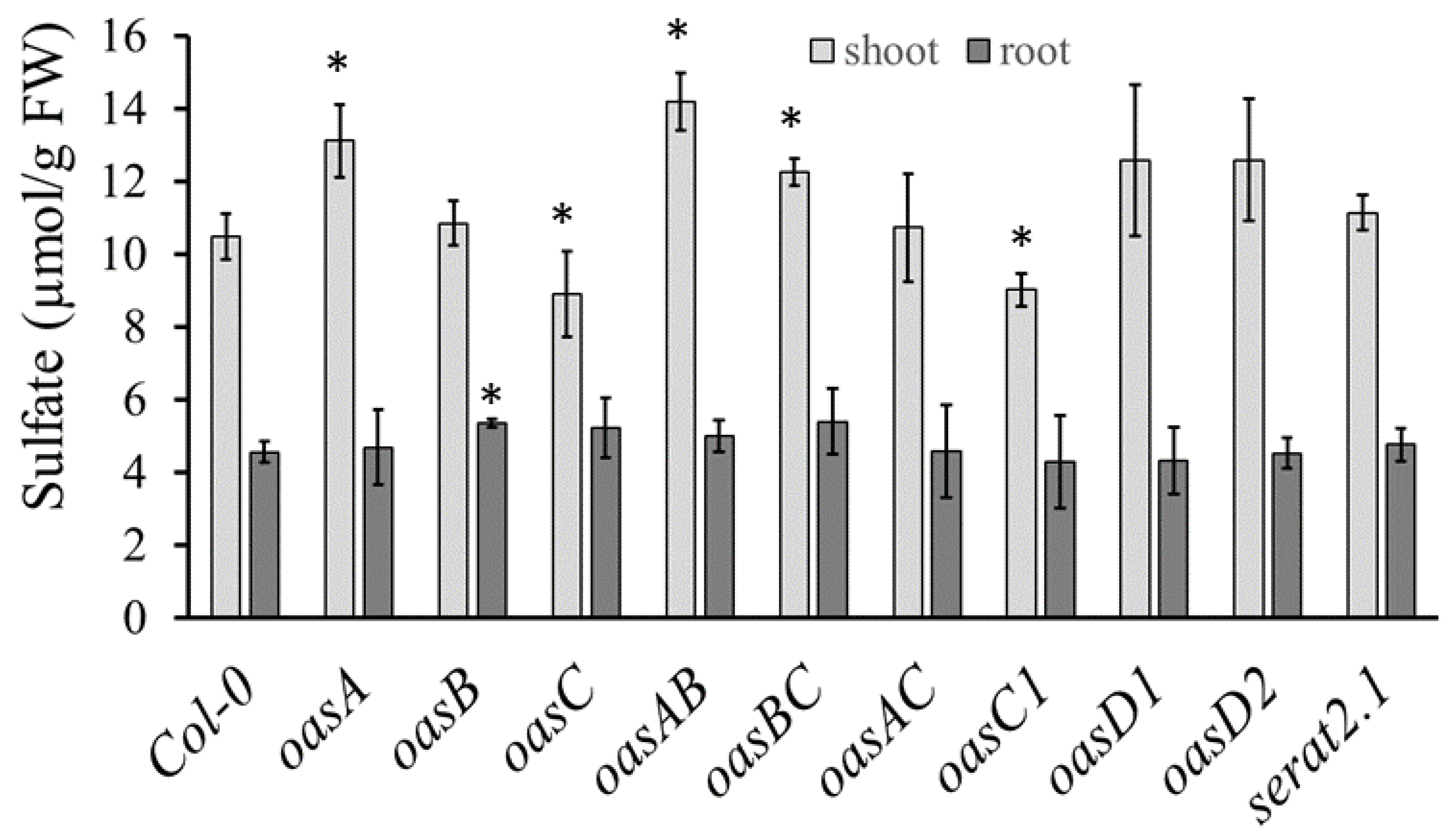 Plants 12 00035 g004 Plants 12 00035 g004