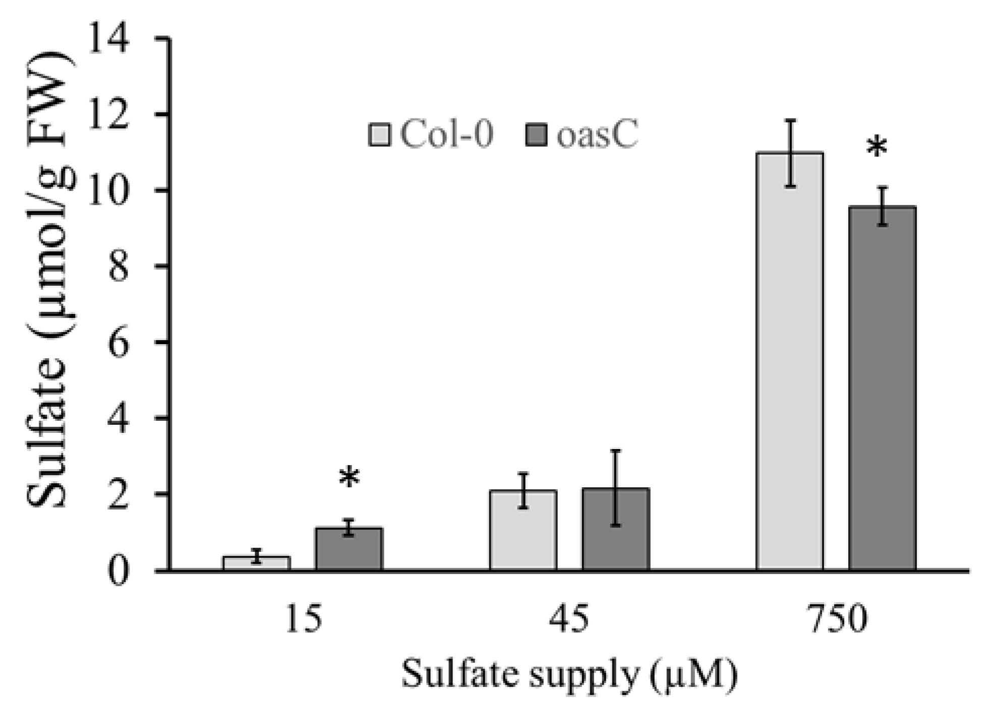 Plants 12 00035 g005 Plants 12 00035 g005