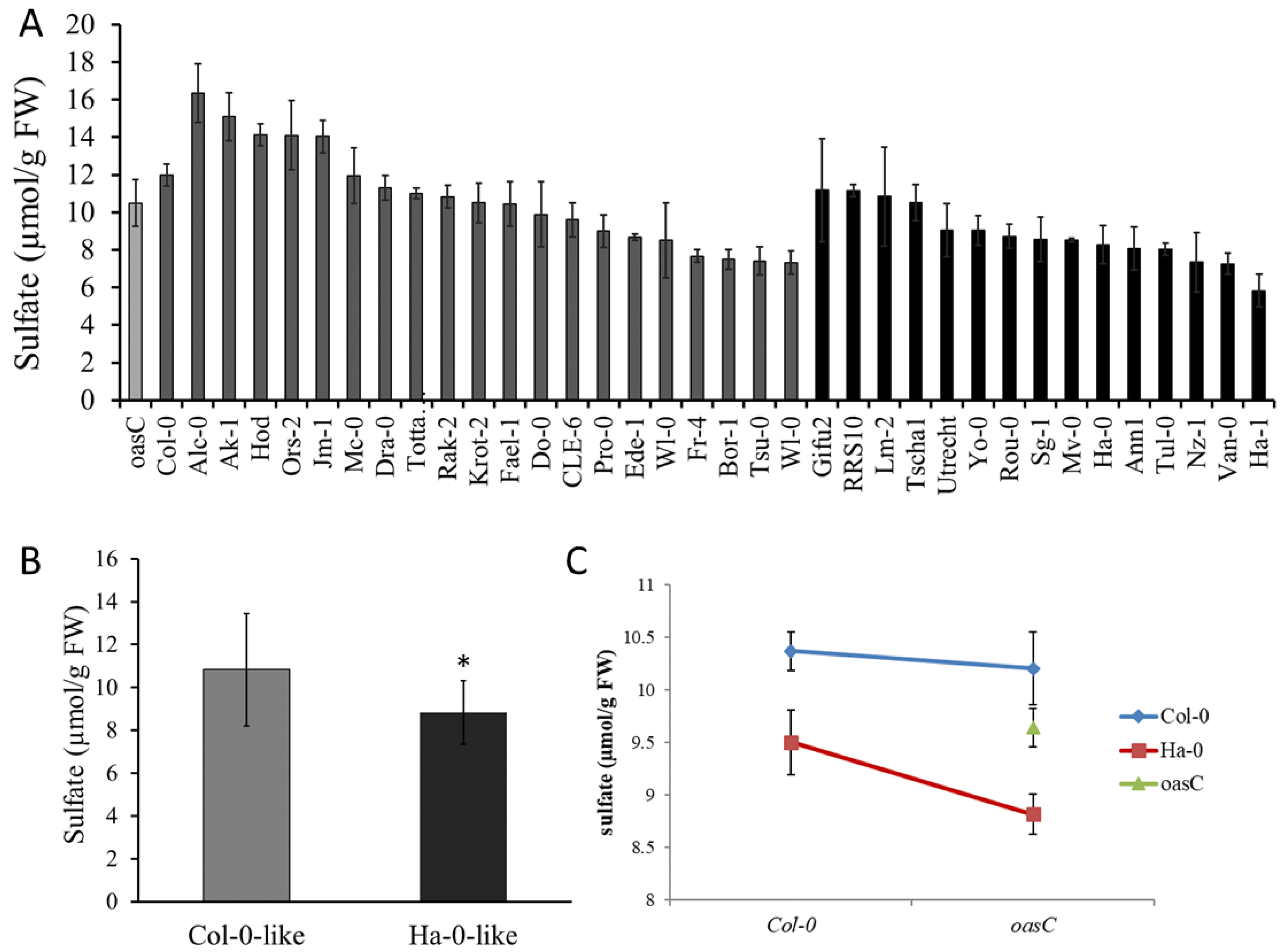 Plants 12 00035 g006 Plants 12 00035 g006