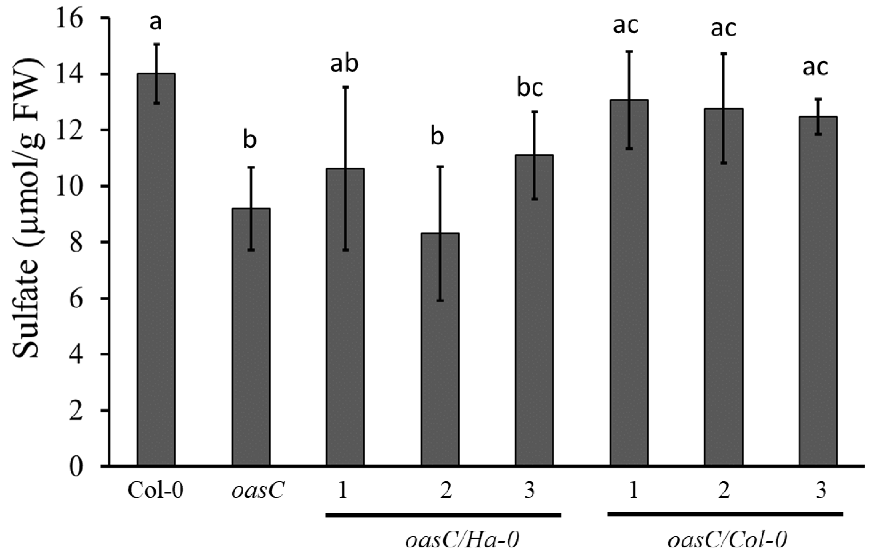 Plants 12 00035 g007 Plants 12 00035 g007