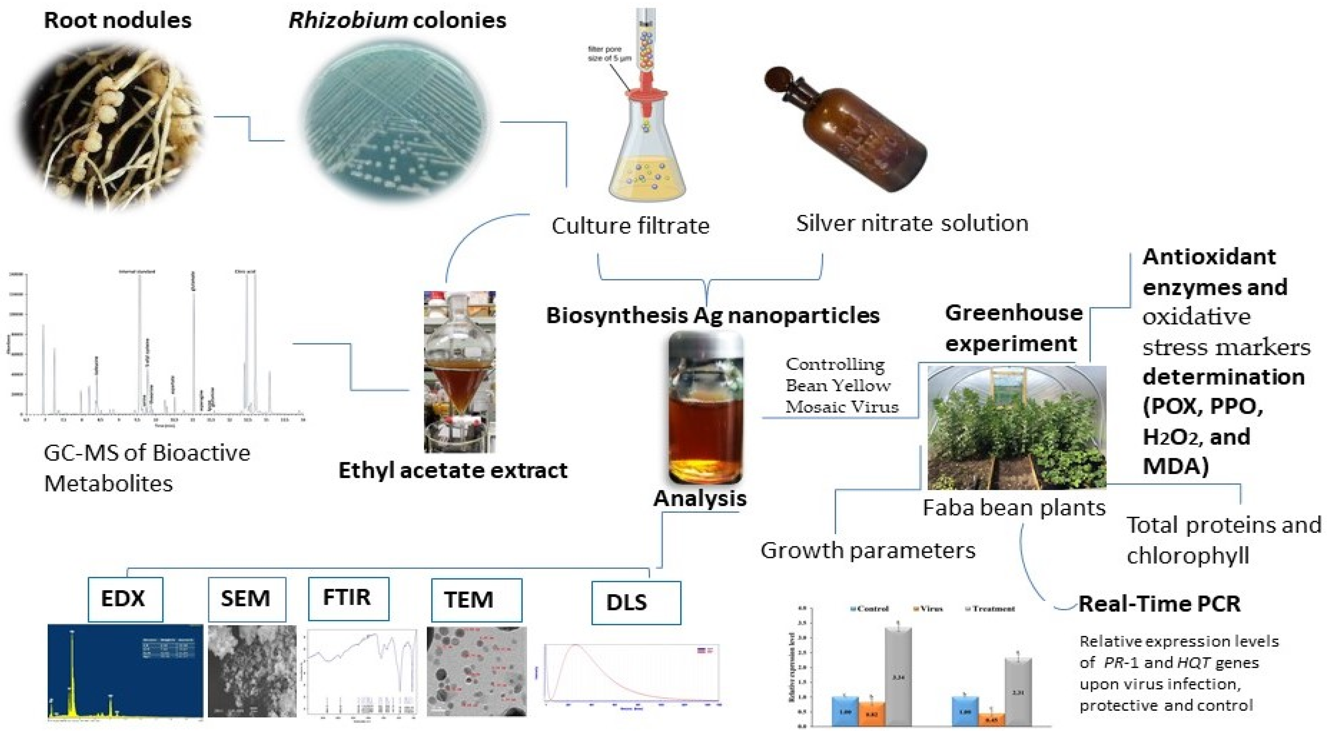 Plants 12 00045 g001 Plants 12 00045 g001