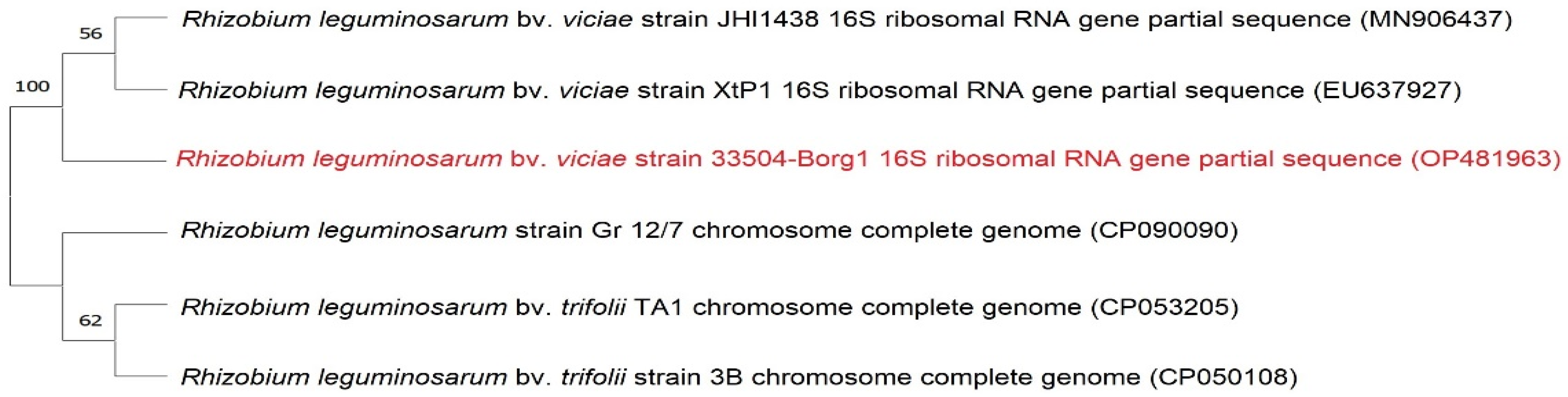 Plants 12 00045 g002 Plants 12 00045 g002