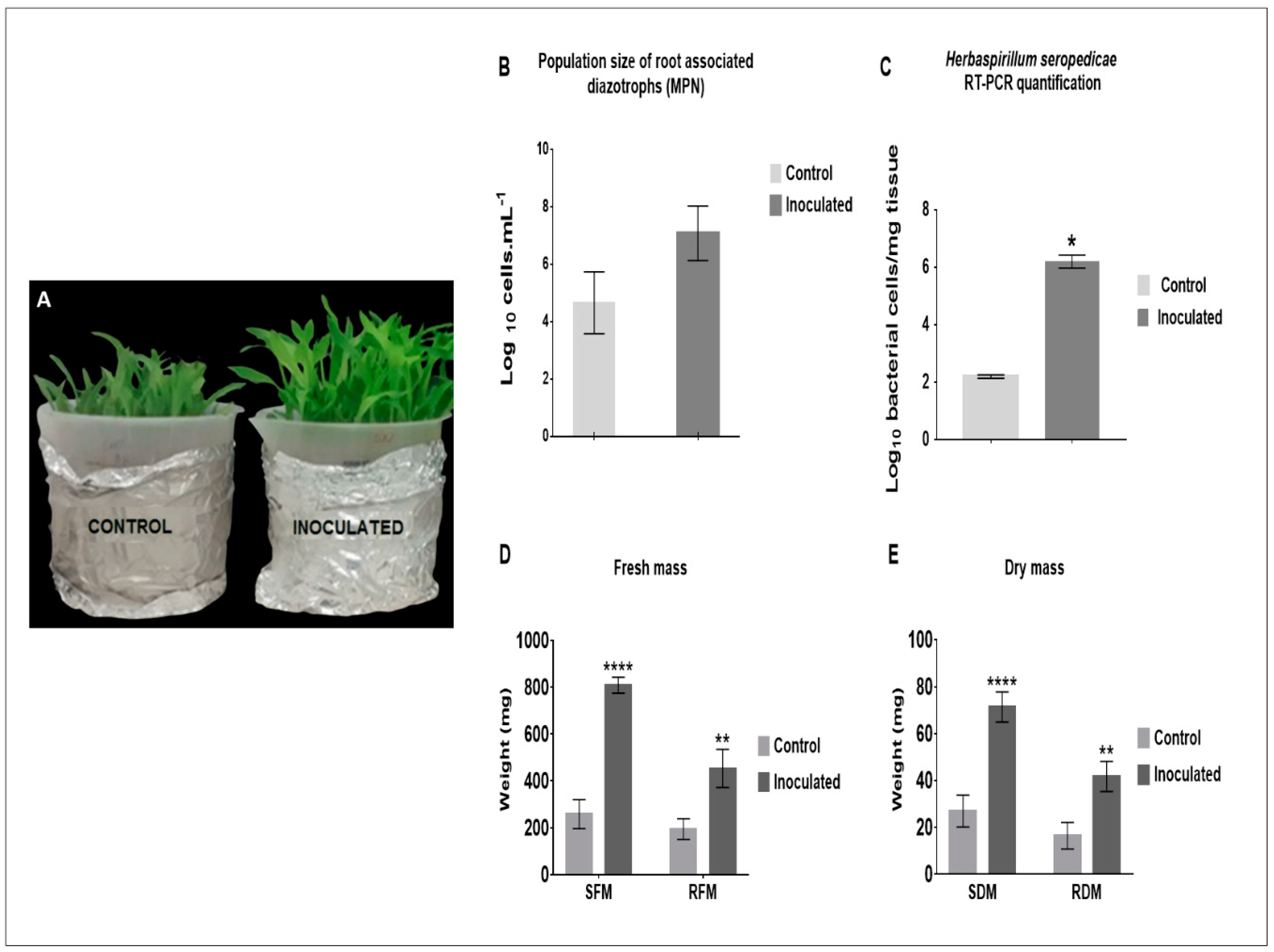 Plants 12 00048 g001