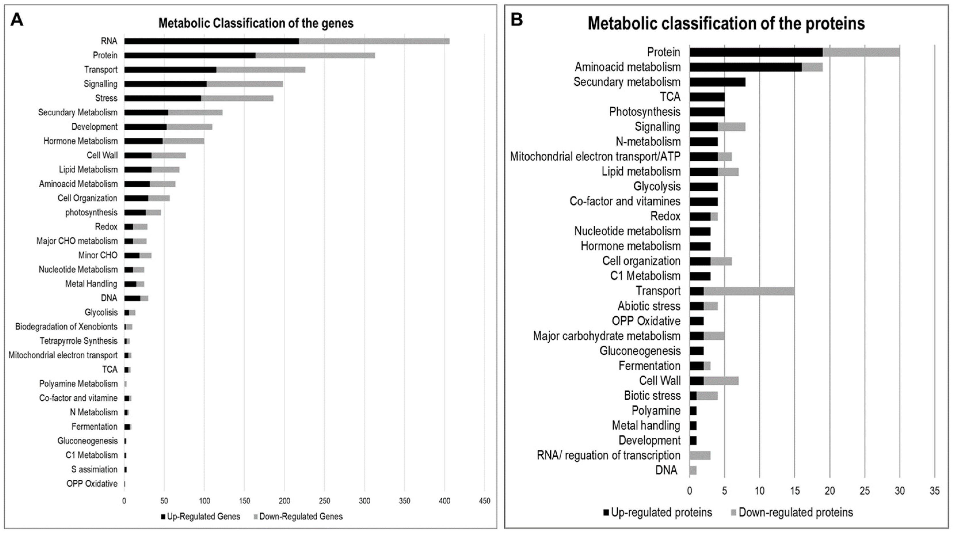 Plants 12 00048 g003