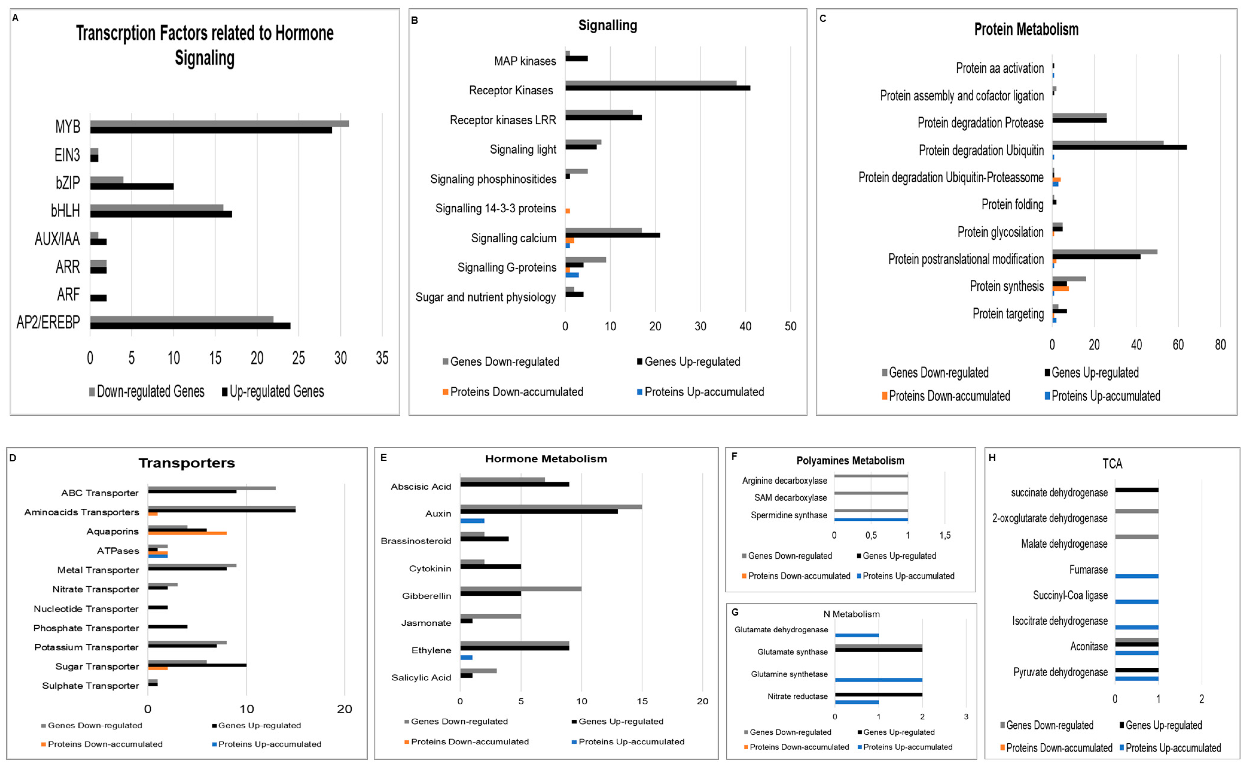 Plants 12 00048 g005