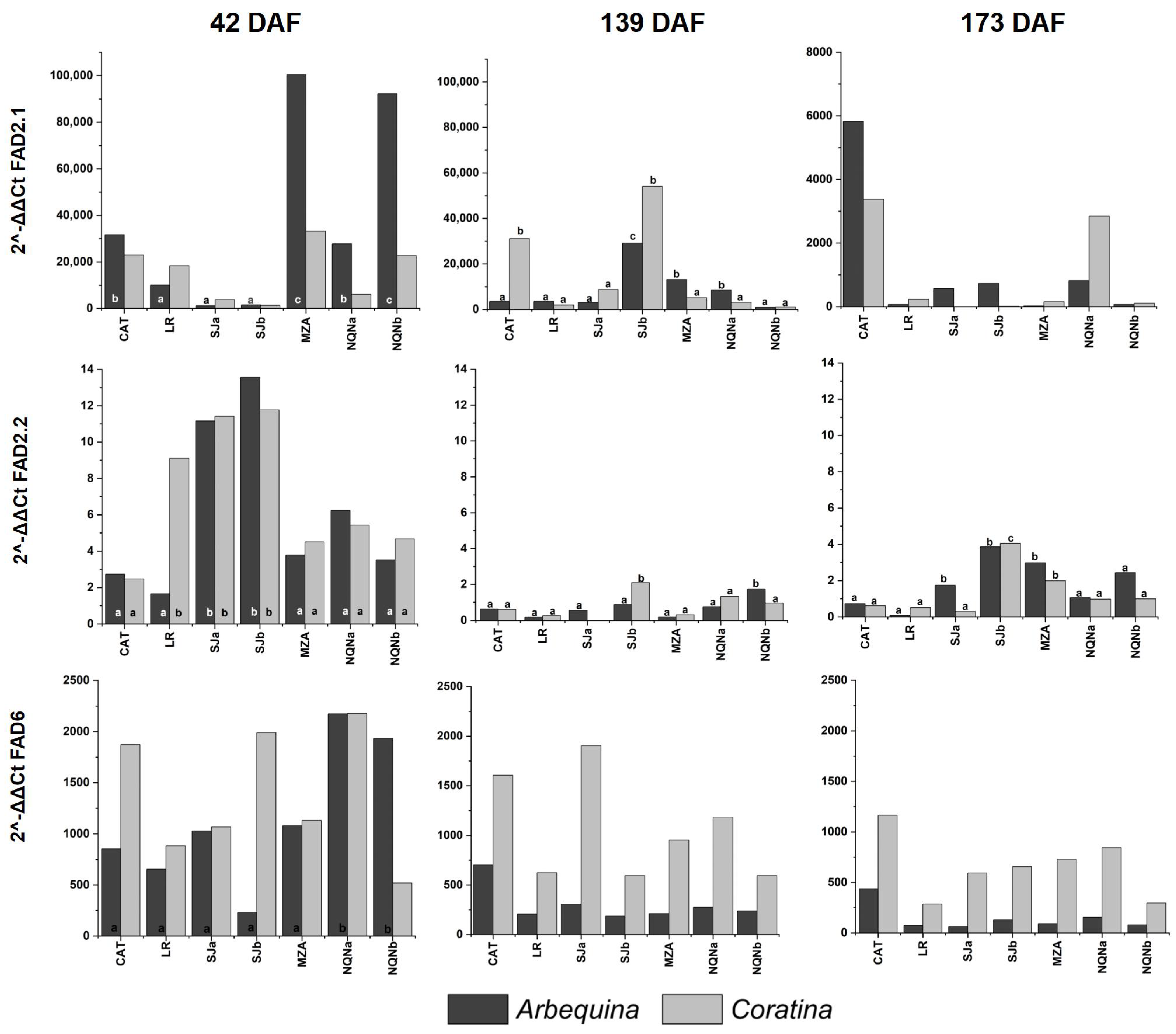 Plants 12 00054 g004
