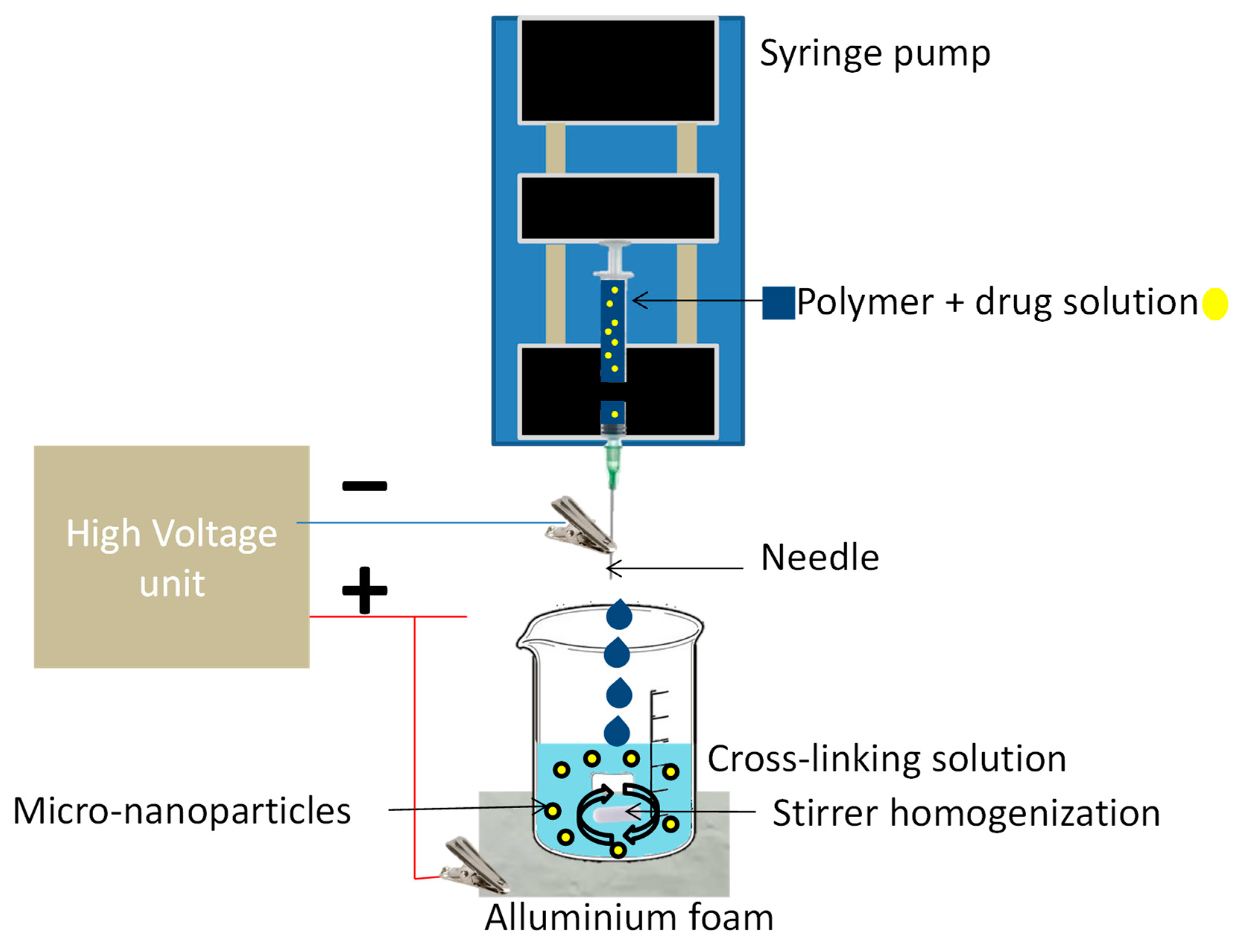 Plants 12 00055 g001 Plants 12 00055 g001