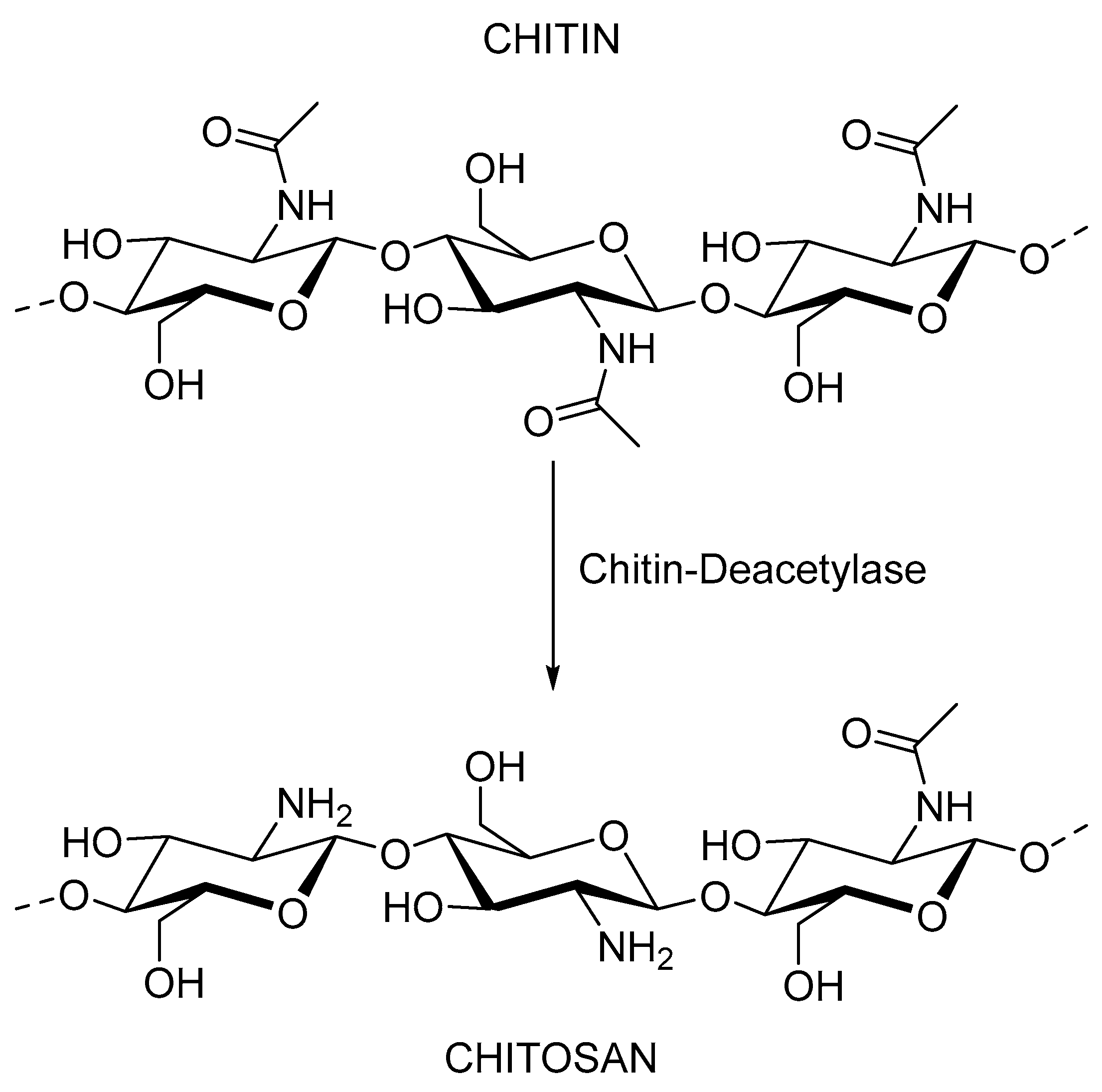 Plants 12 00055 g005 Plants 12 00055 g005