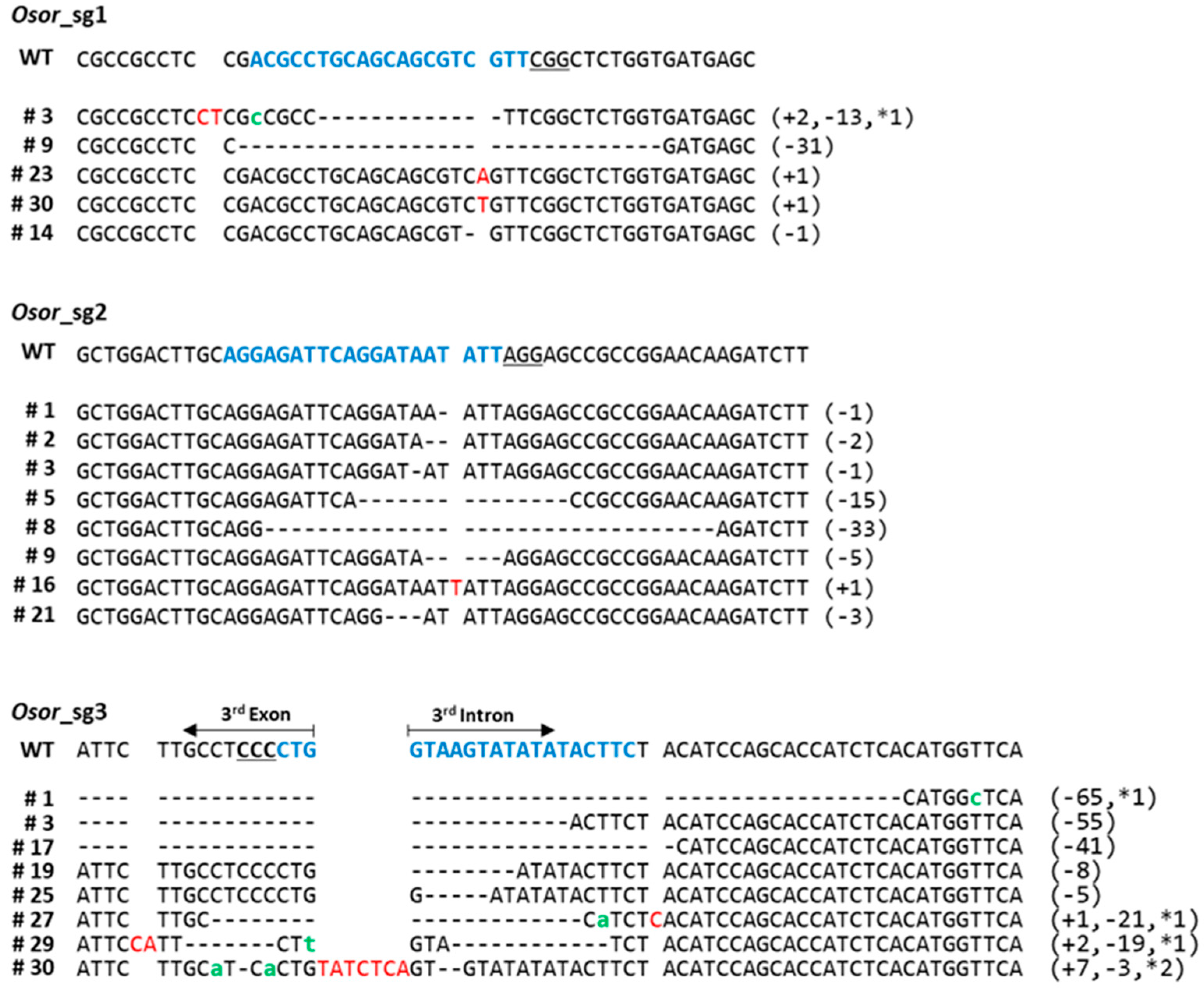 Plants 12 00056 g002 Plants 12 00056 g002