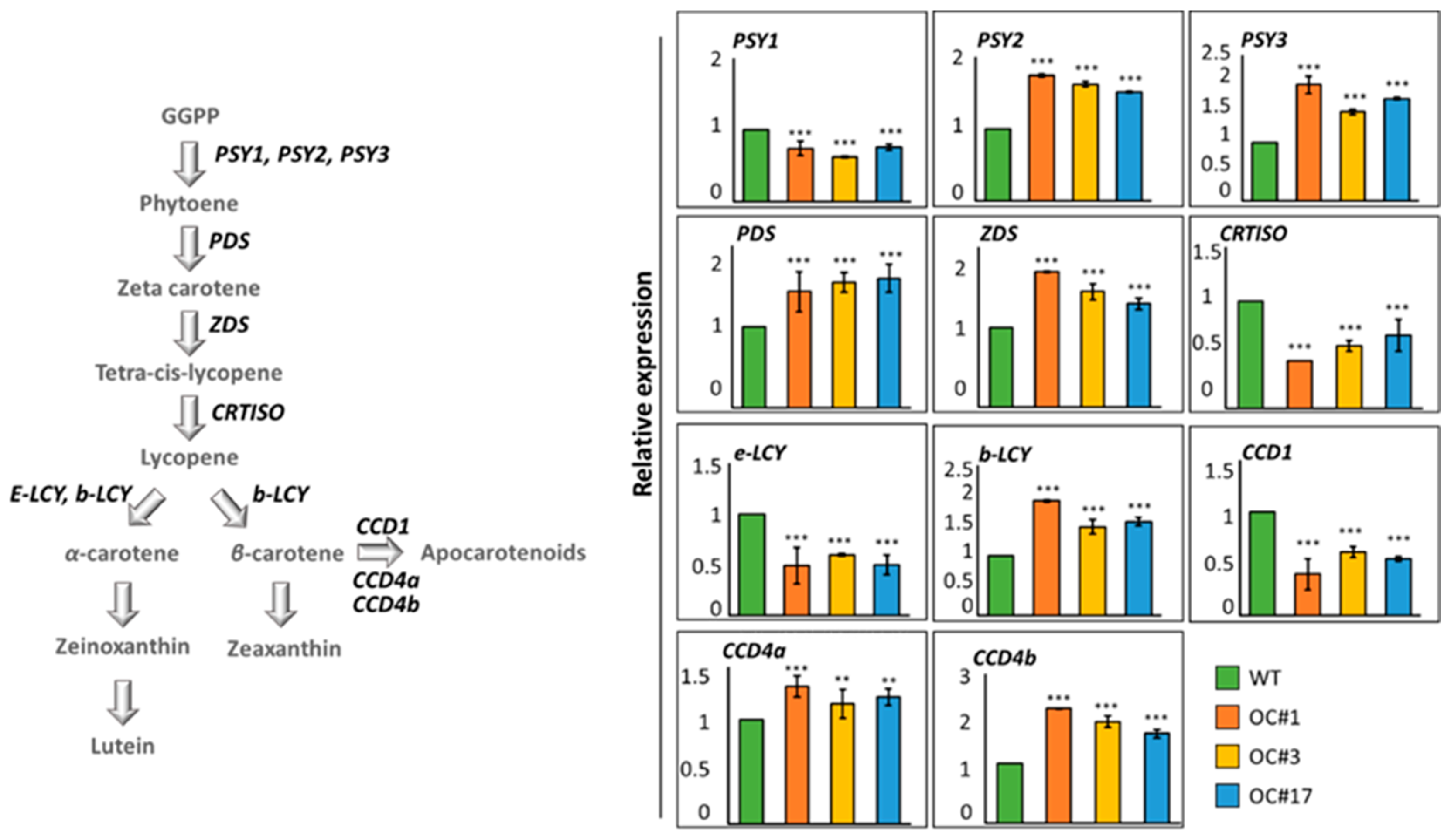 Plants 12 00056 g005 Plants 12 00056 g005