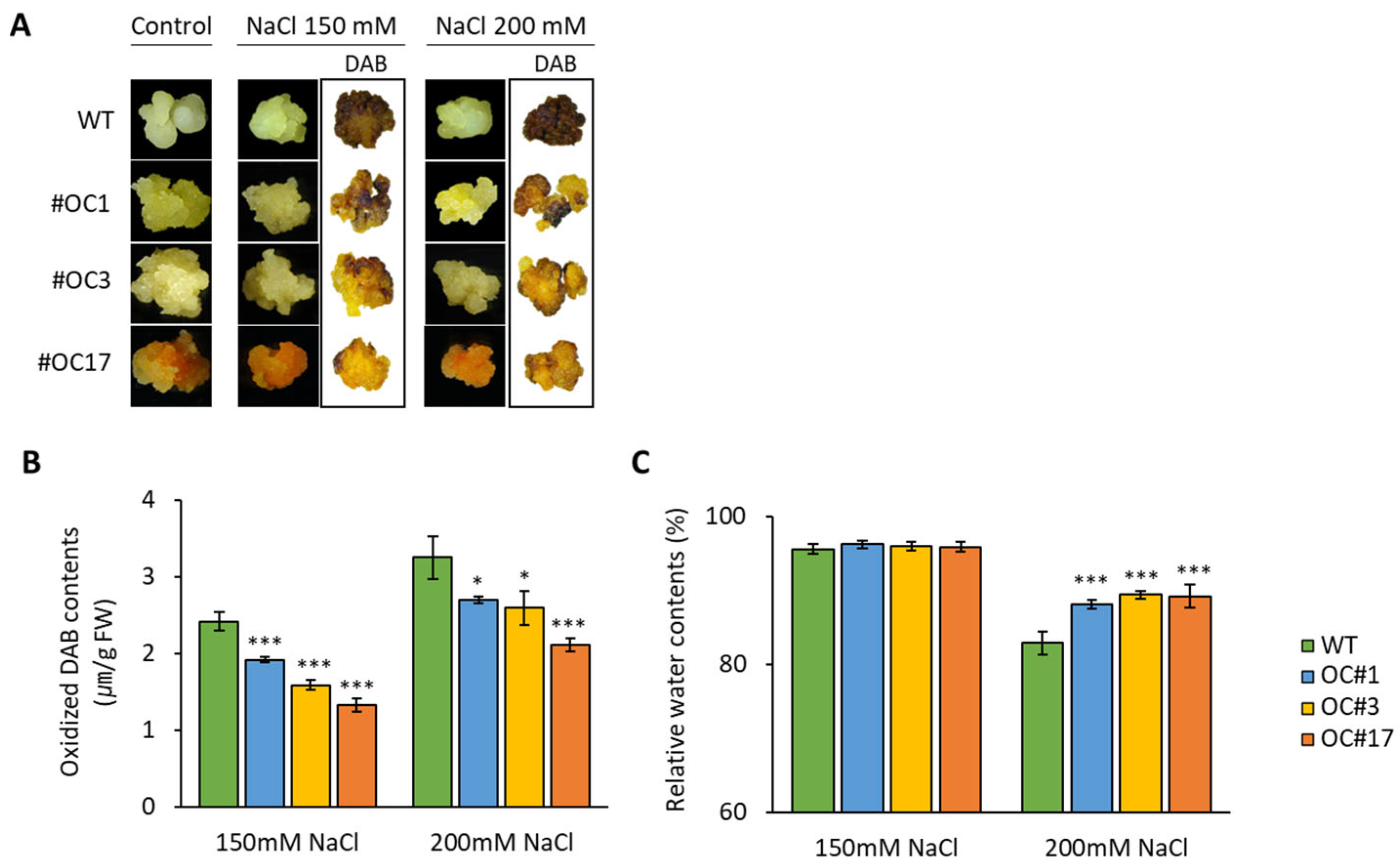 Plants 12 00056 g006 Plants 12 00056 g006