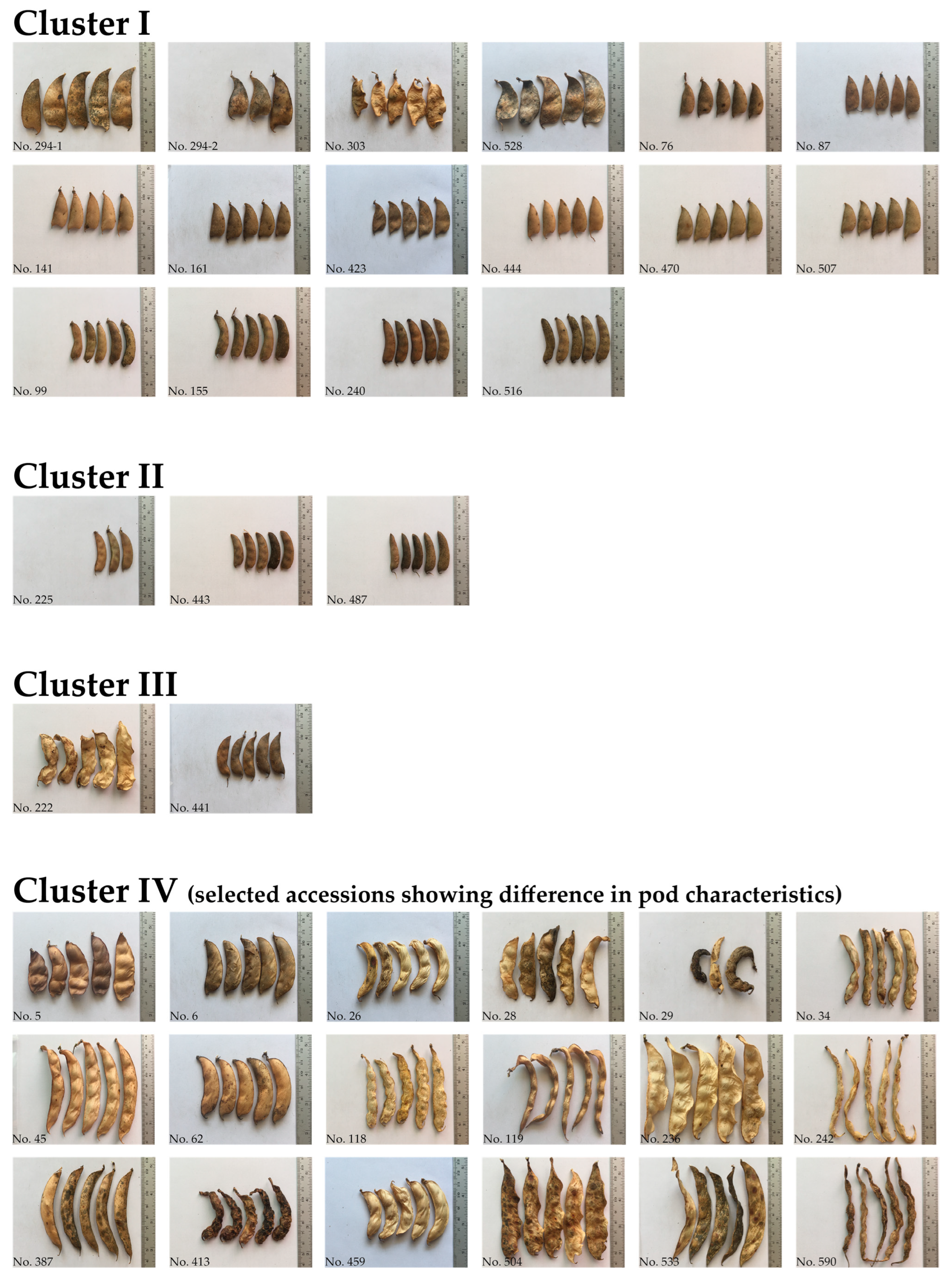 Plants 12 00057 g003 Plants 12 00057 g003