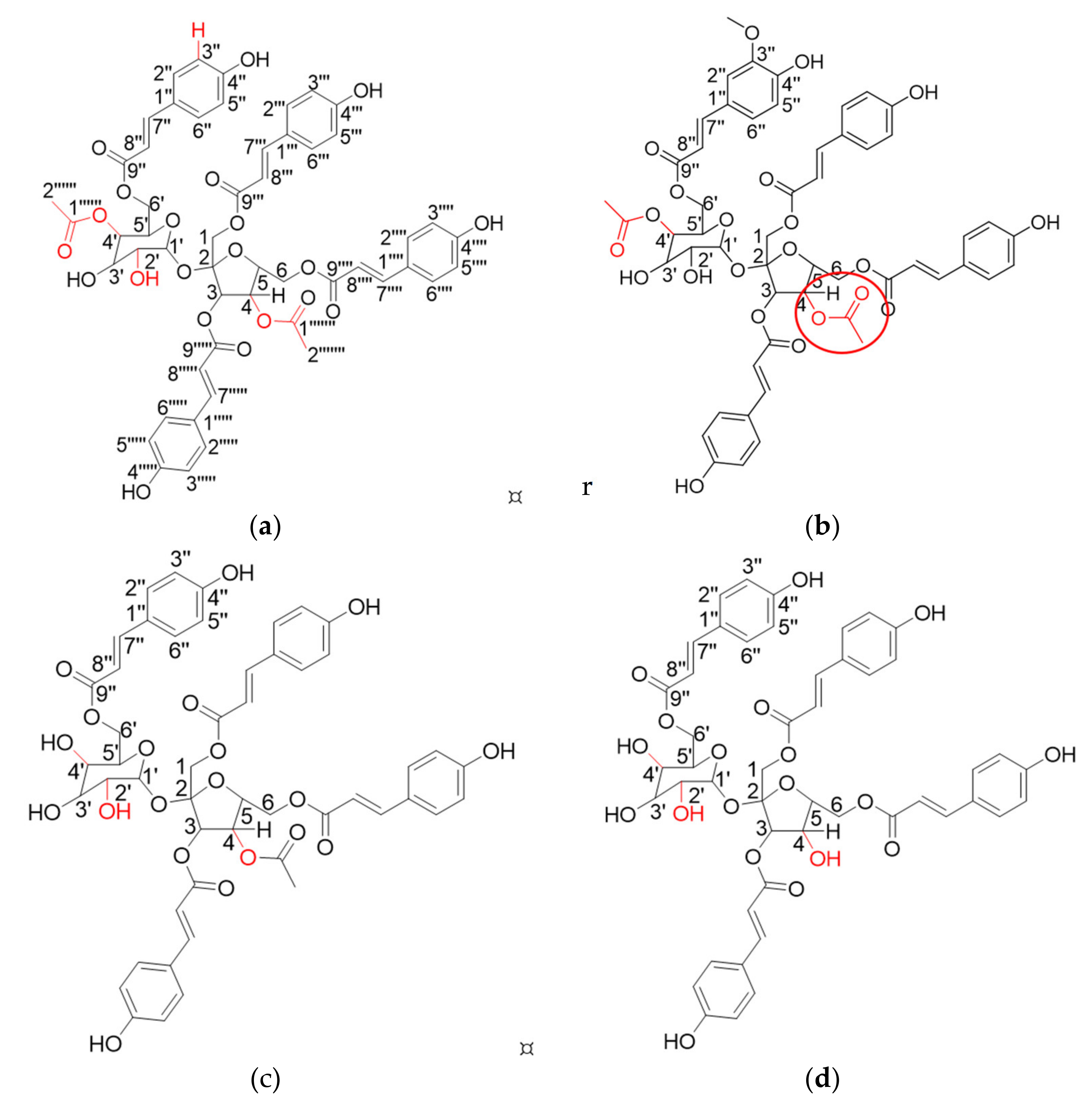 Plants 12 00059 g001a