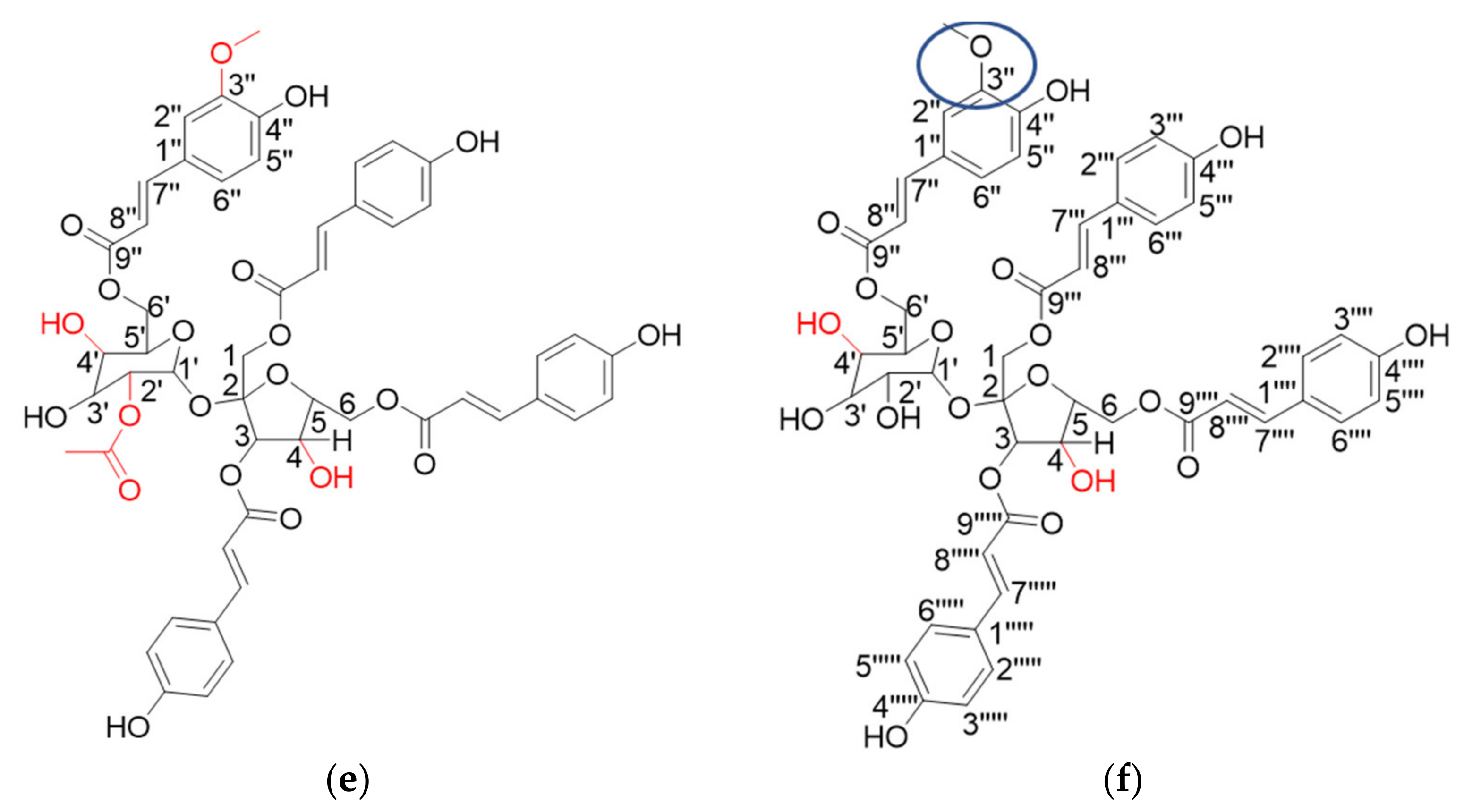 Plants 12 00059 g001b