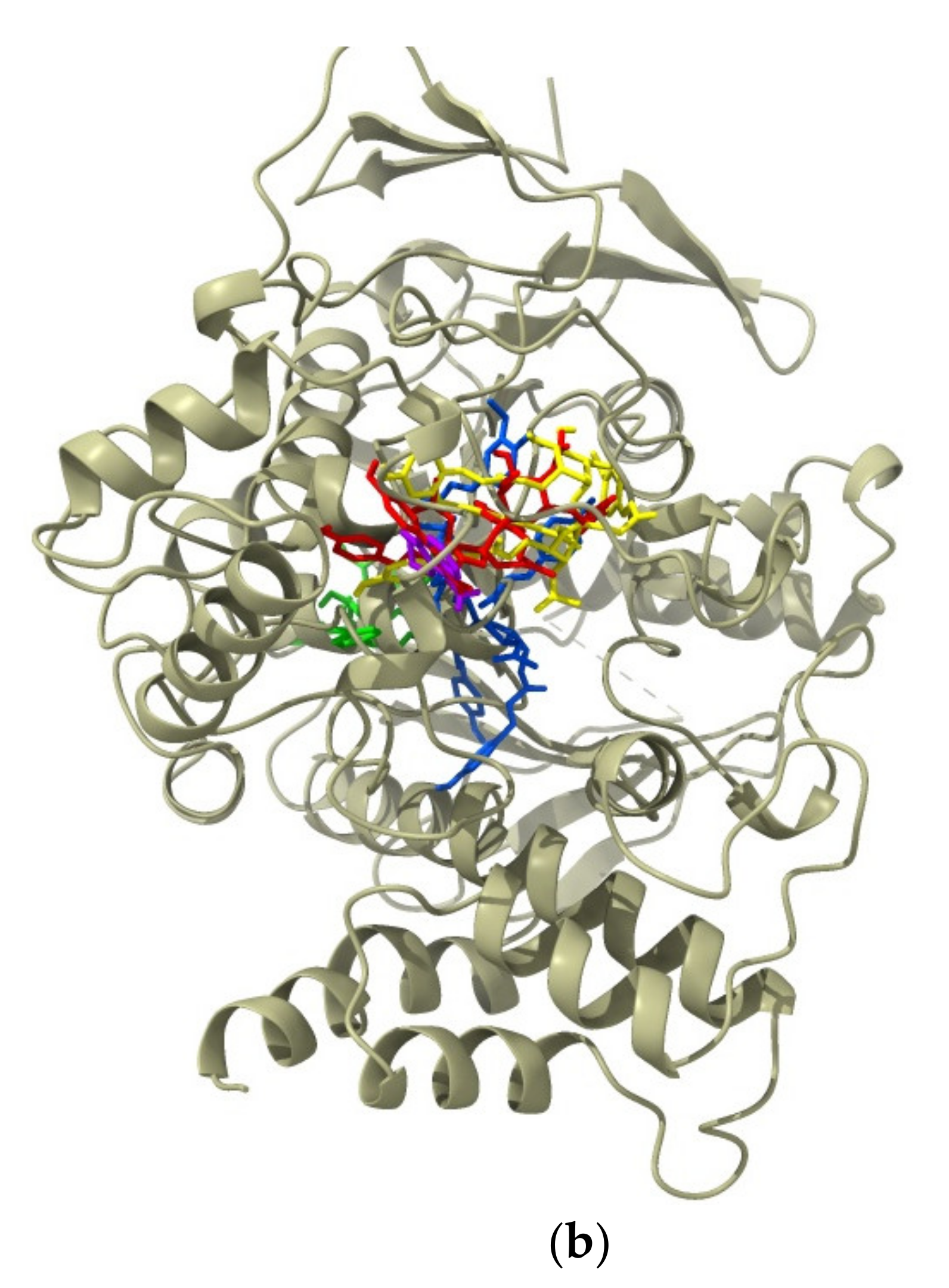 Plants 12 00059 g003b