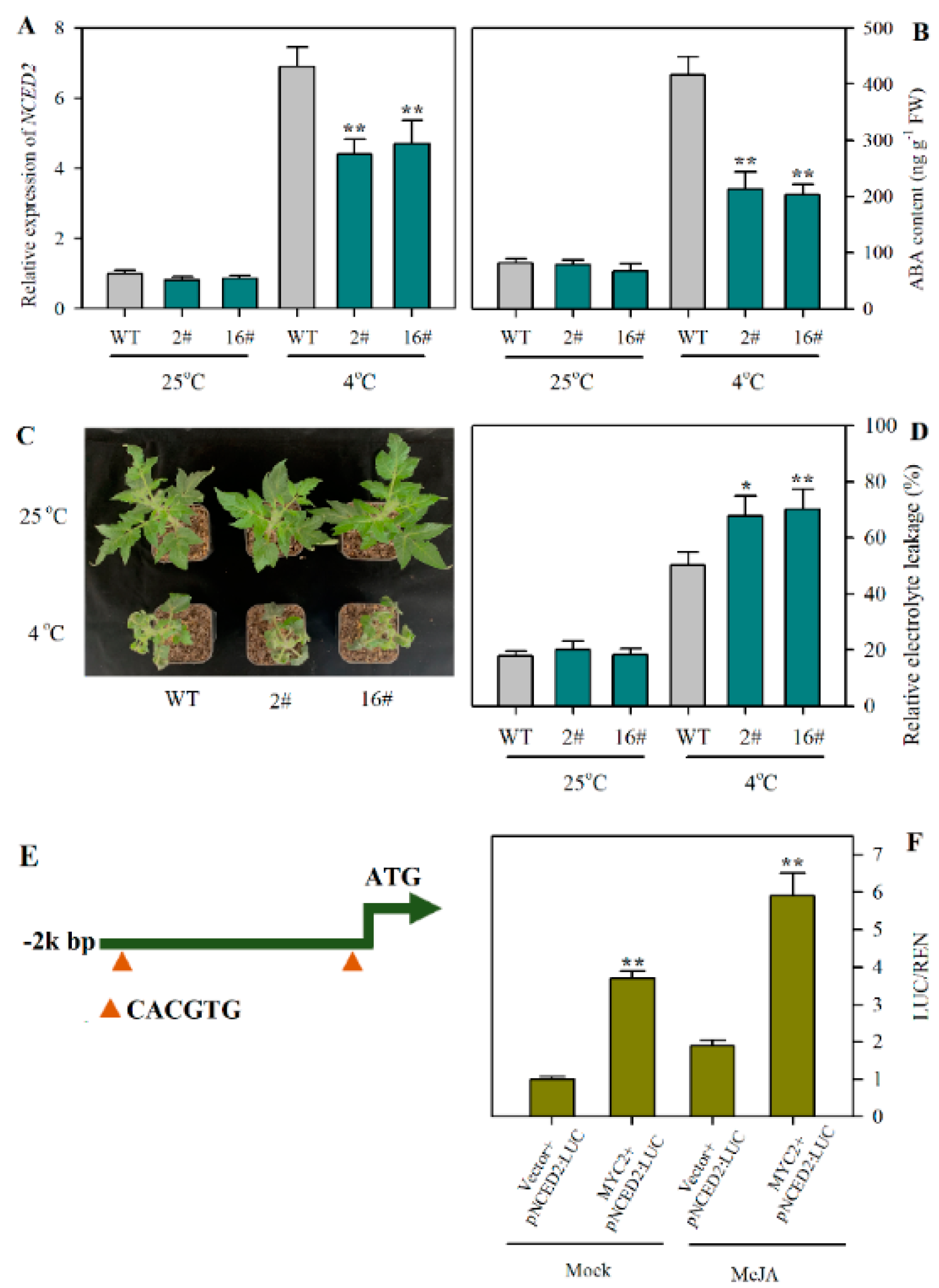 Plants 12 00060 g005 Plants 12 00060 g005