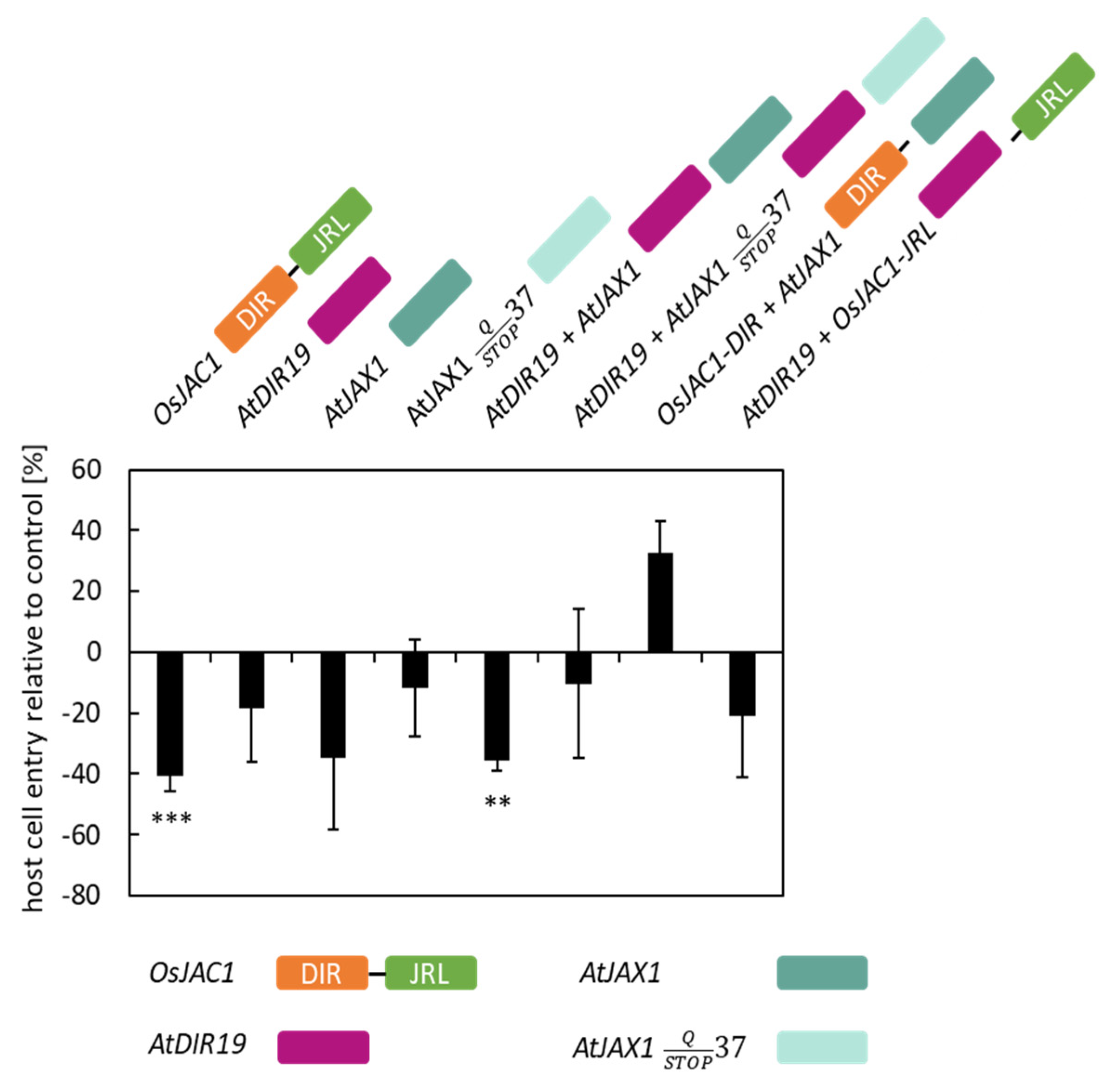 Plants 12 00067 g002