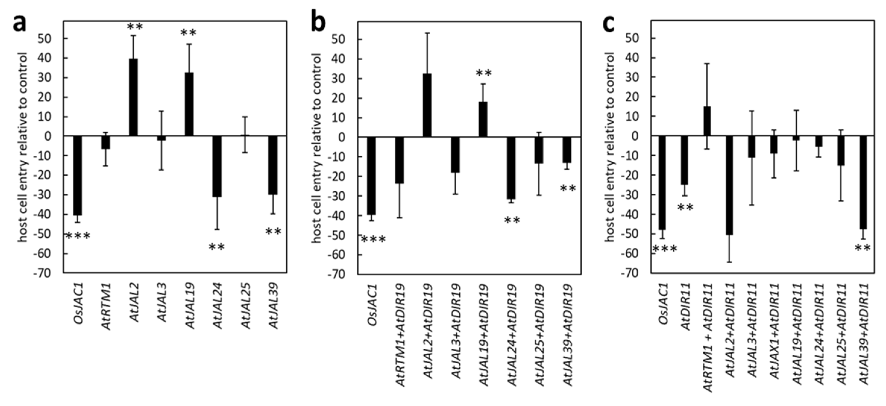 Plants 12 00067 g004