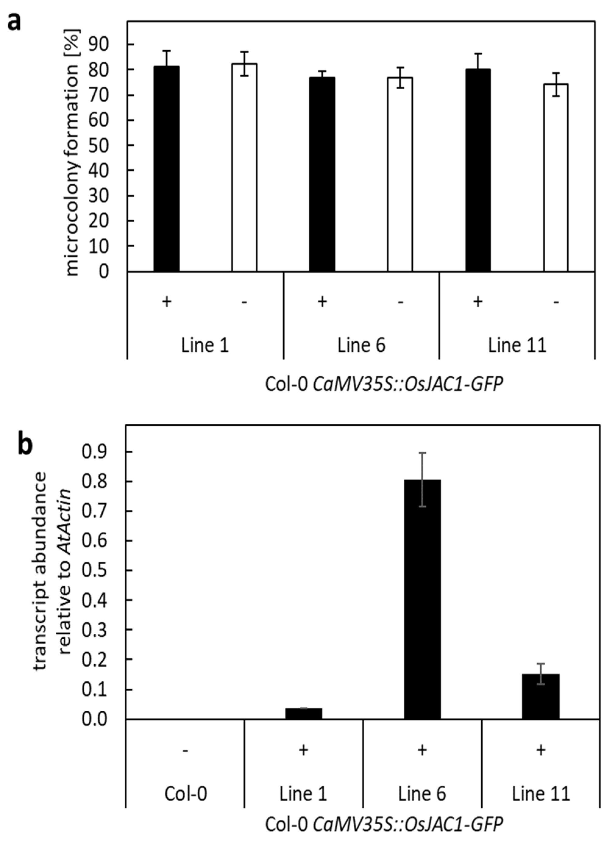 Plants 12 00067 g006