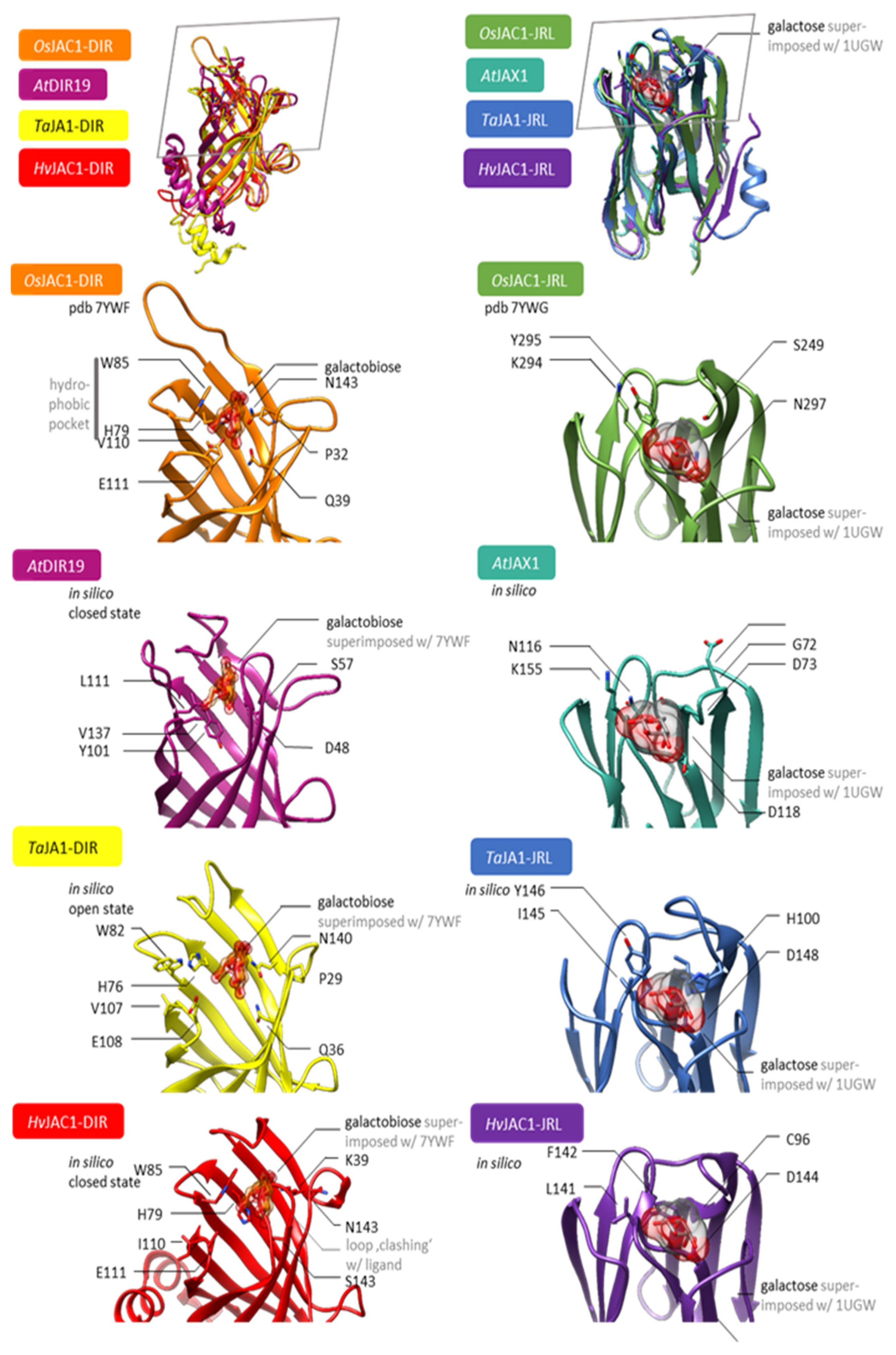 Plants 12 00067 g007