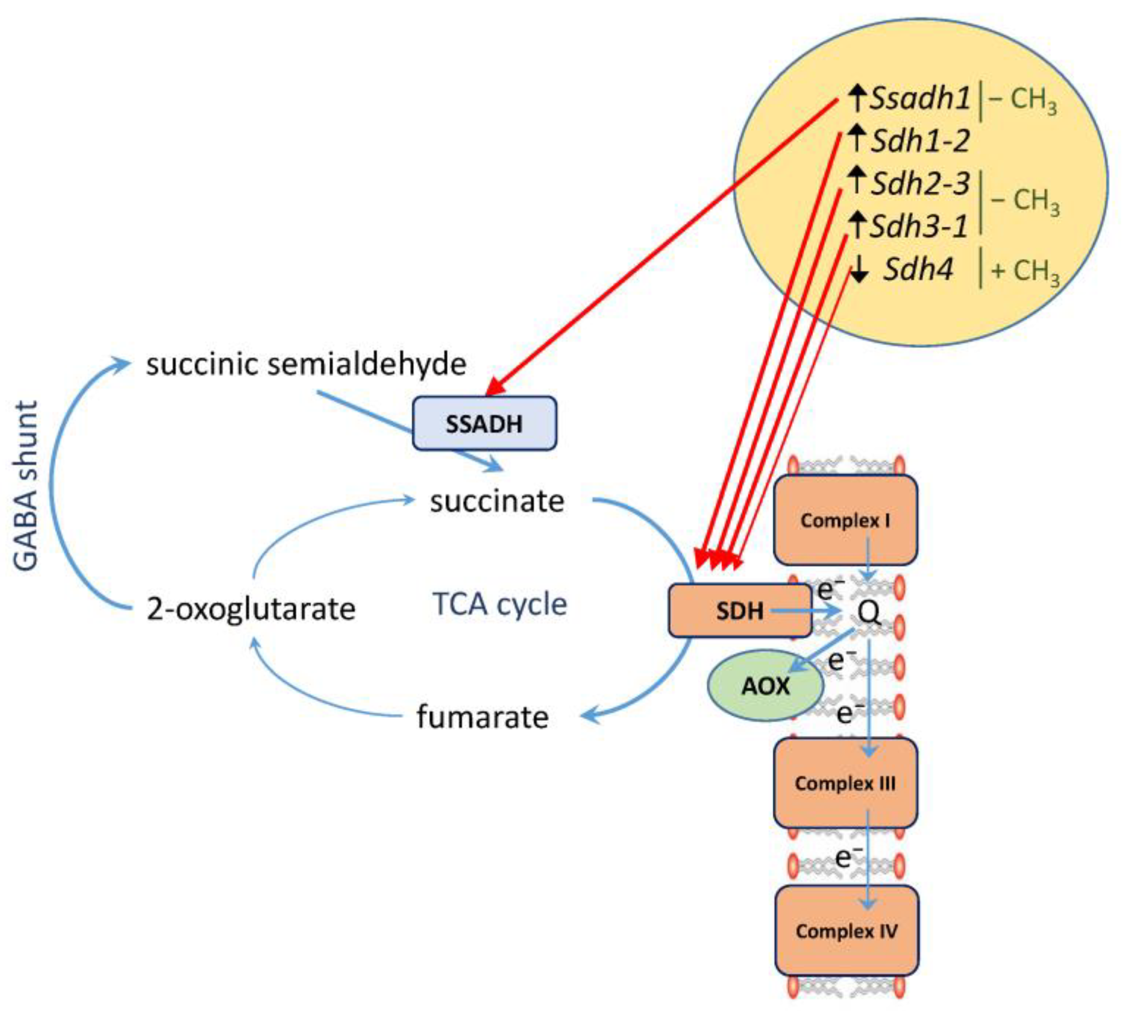 Plants 12 00068 g004 Plants 12 00068 g004