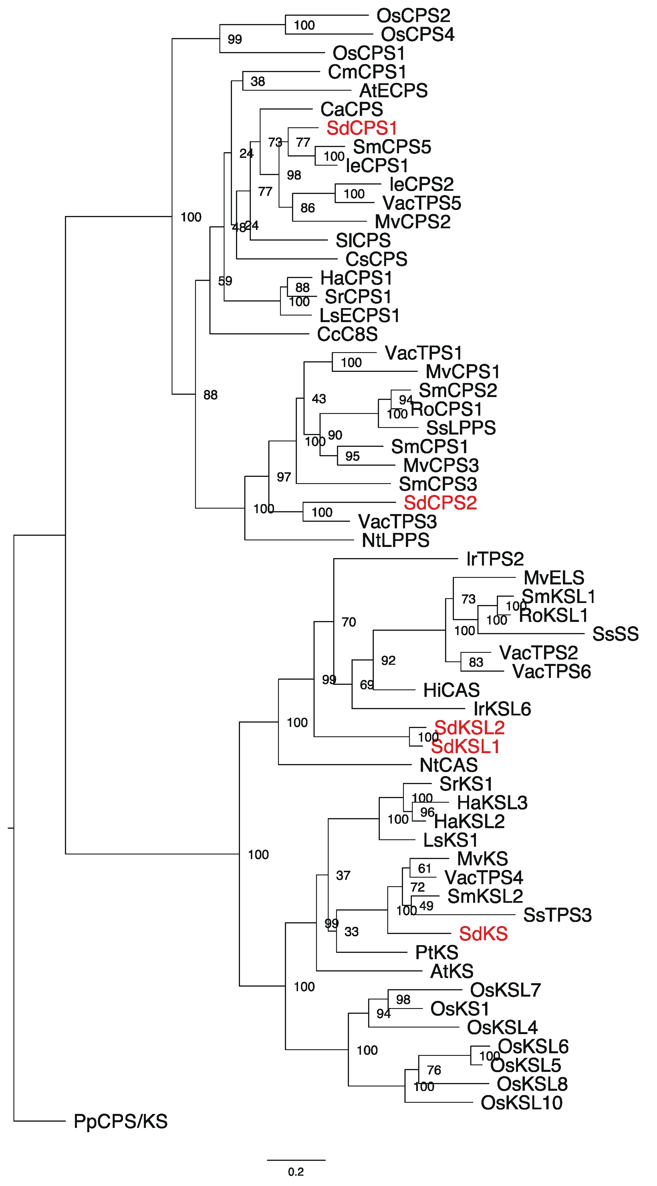 Plants 12 00069 g001 Plants 12 00069 g001