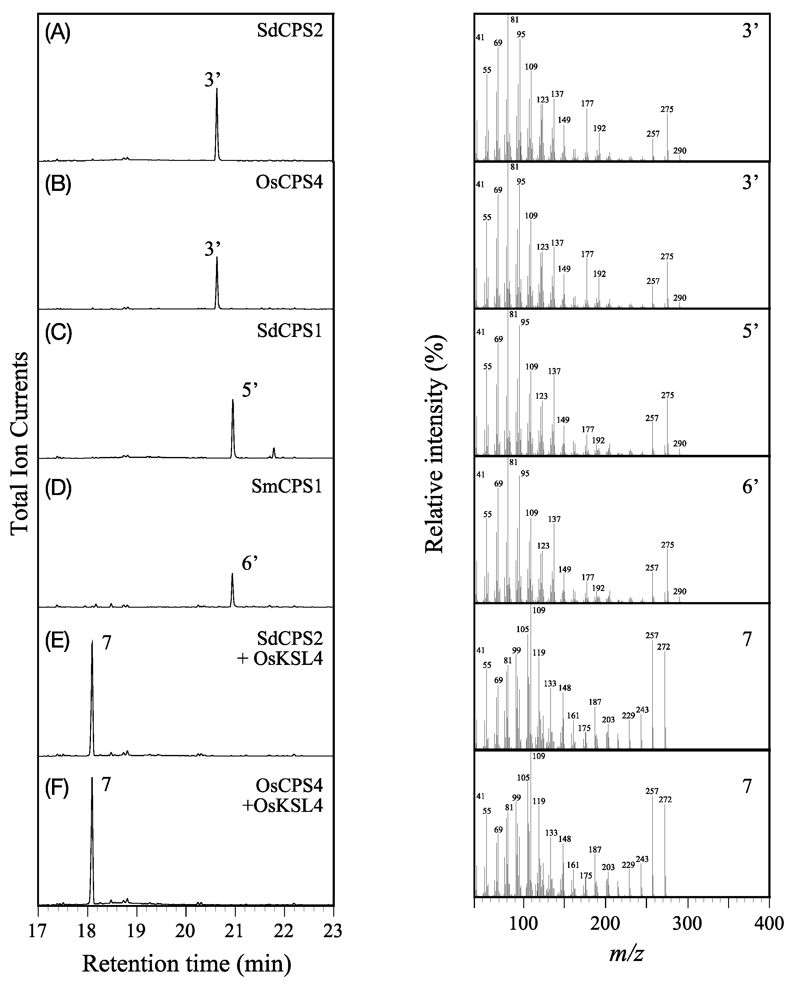 Plants 12 00069 g002 Plants 12 00069 g002