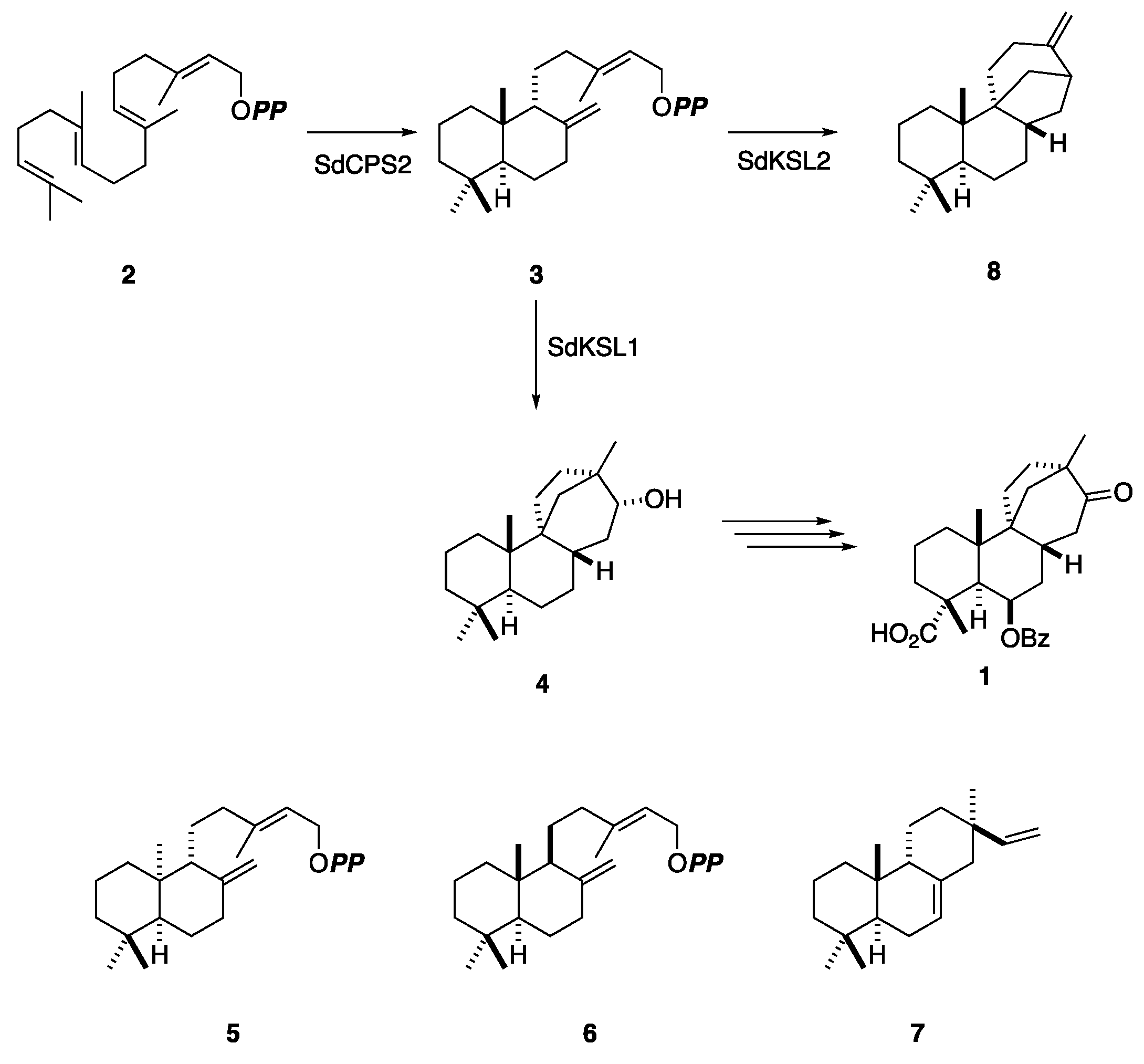 Plants 12 00069 sch001 Plants 12 00069 sch001