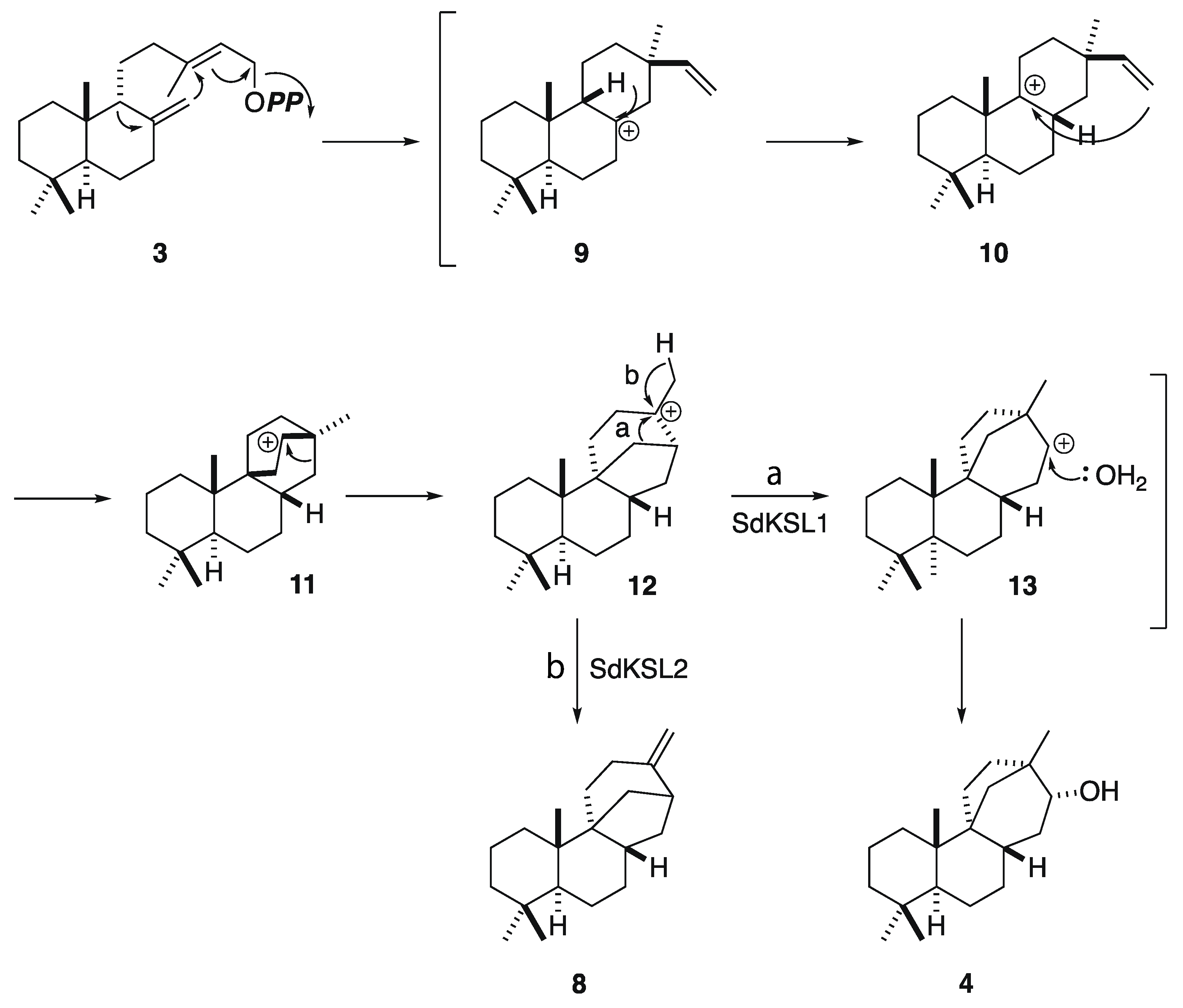 Plants 12 00069 sch002 Plants 12 00069 sch002