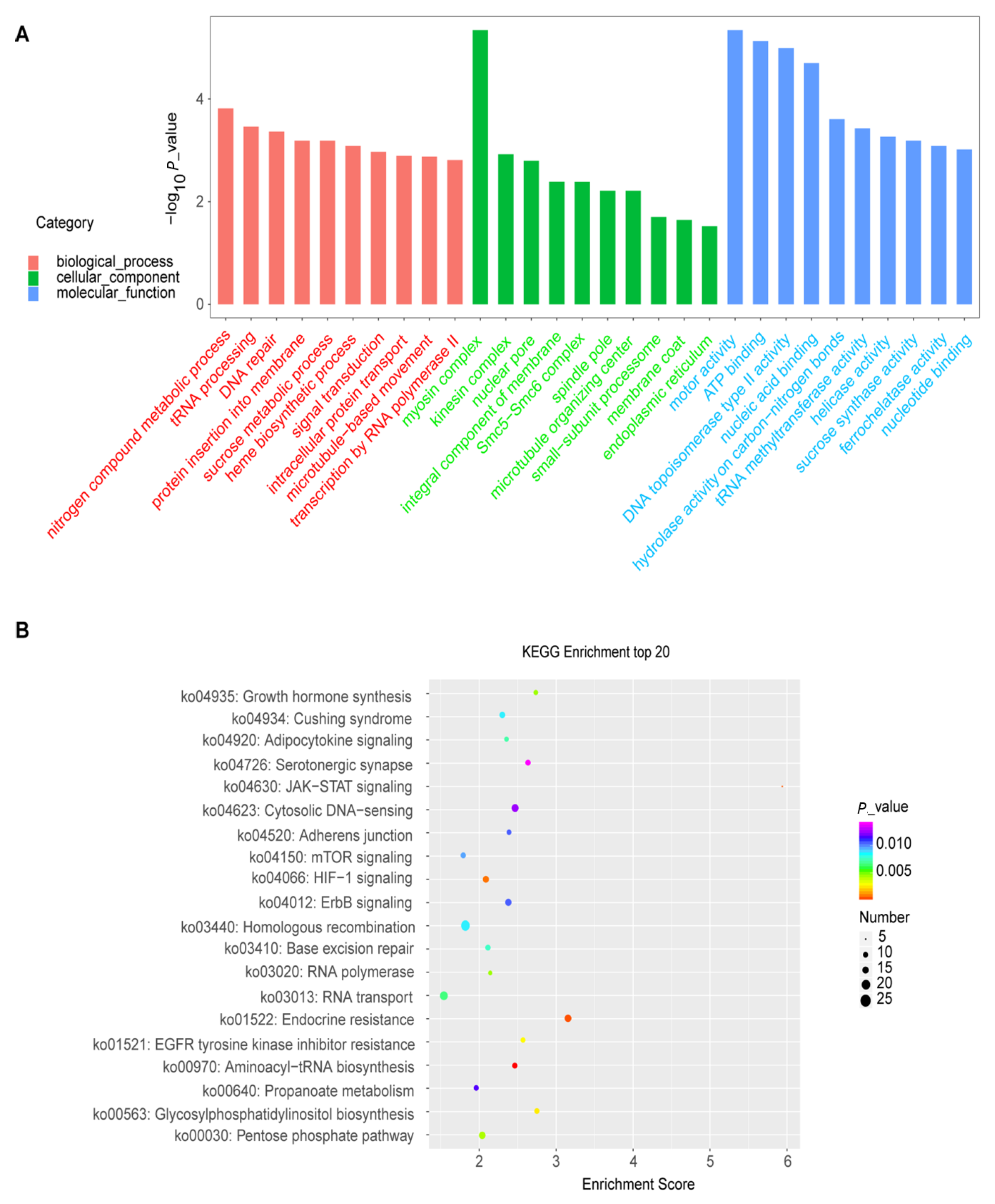 Plants 12 00071 g007 Plants 12 00071 g007