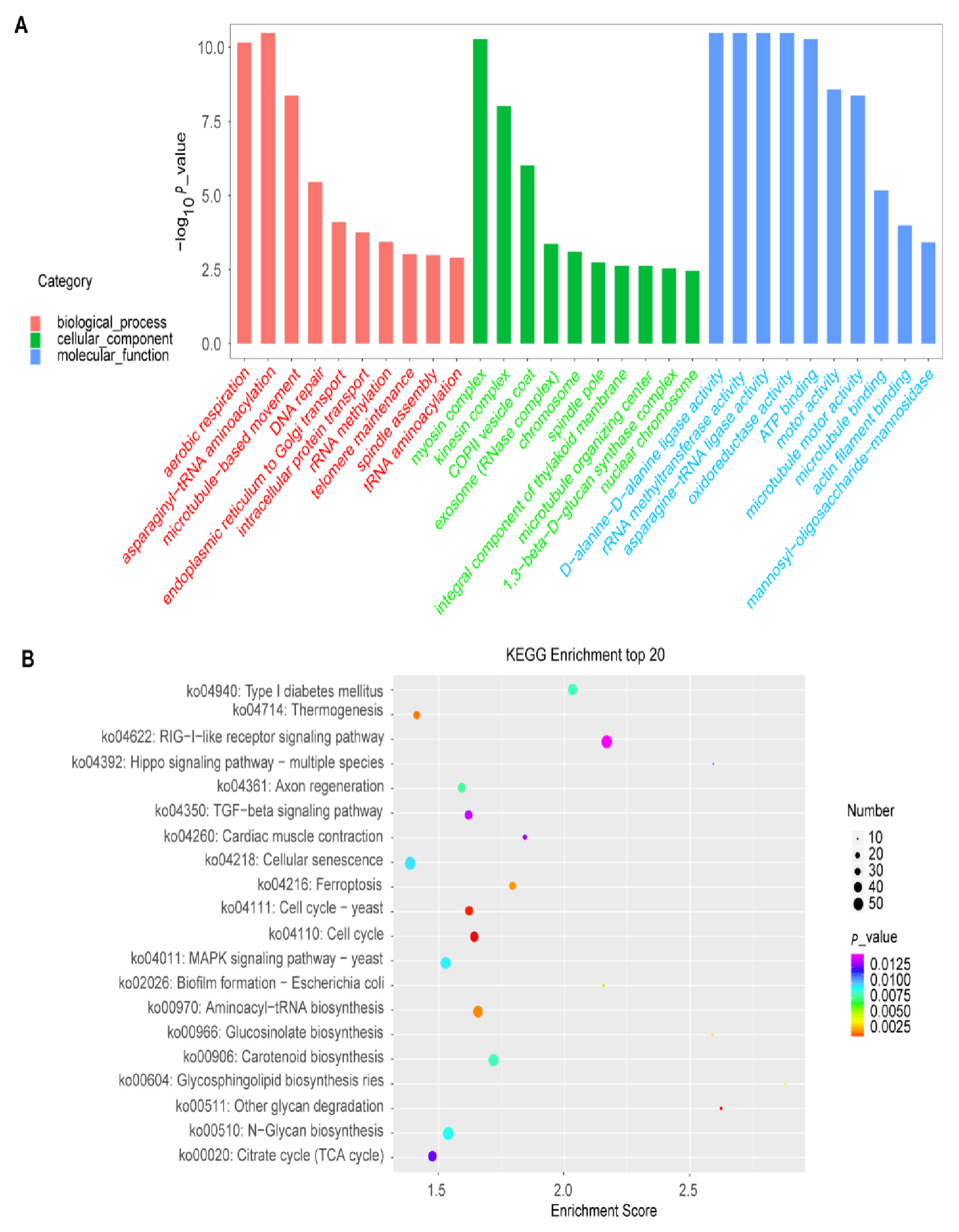 Plants 12 00071 g008 Plants 12 00071 g008