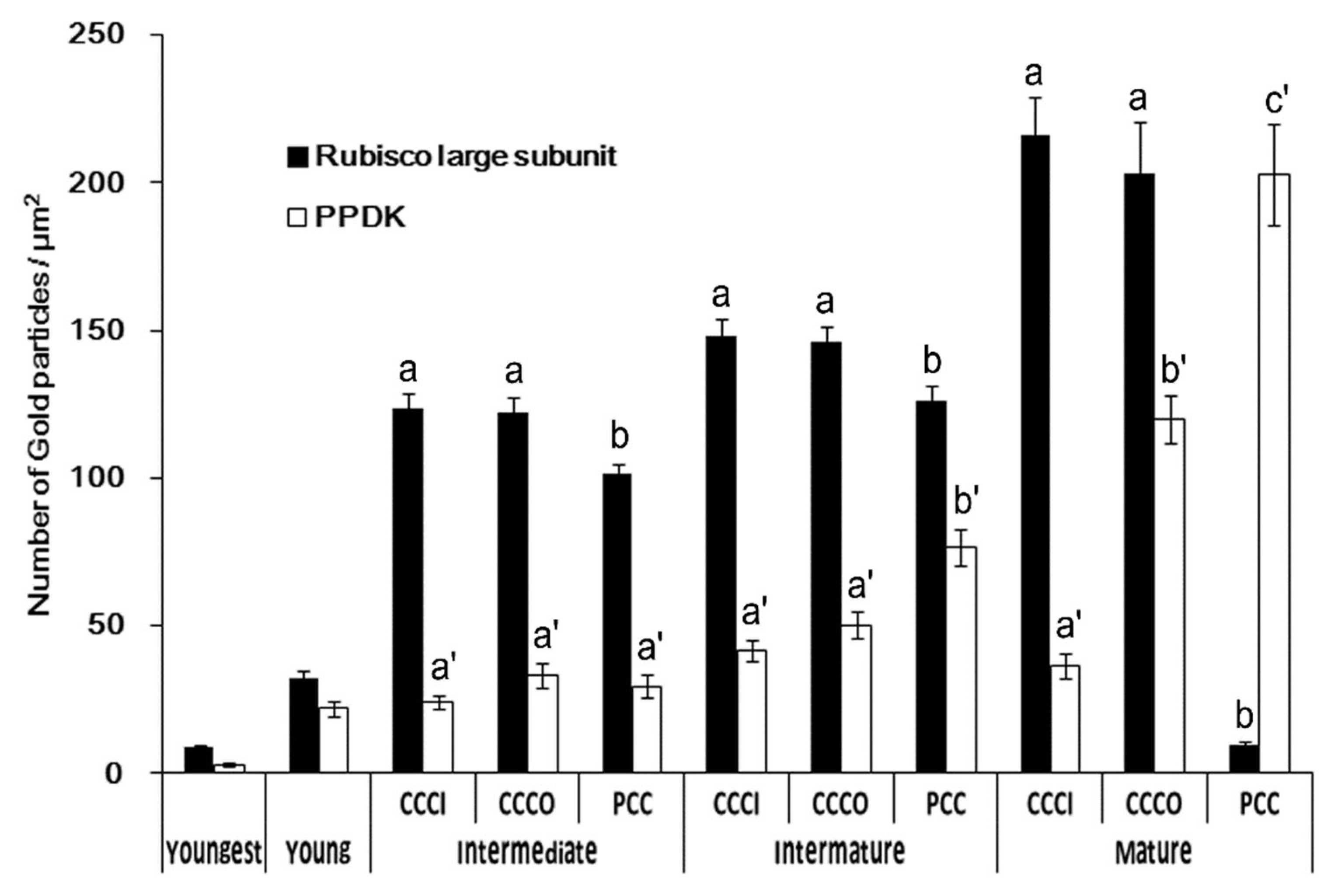 Plants 12 00077 g004