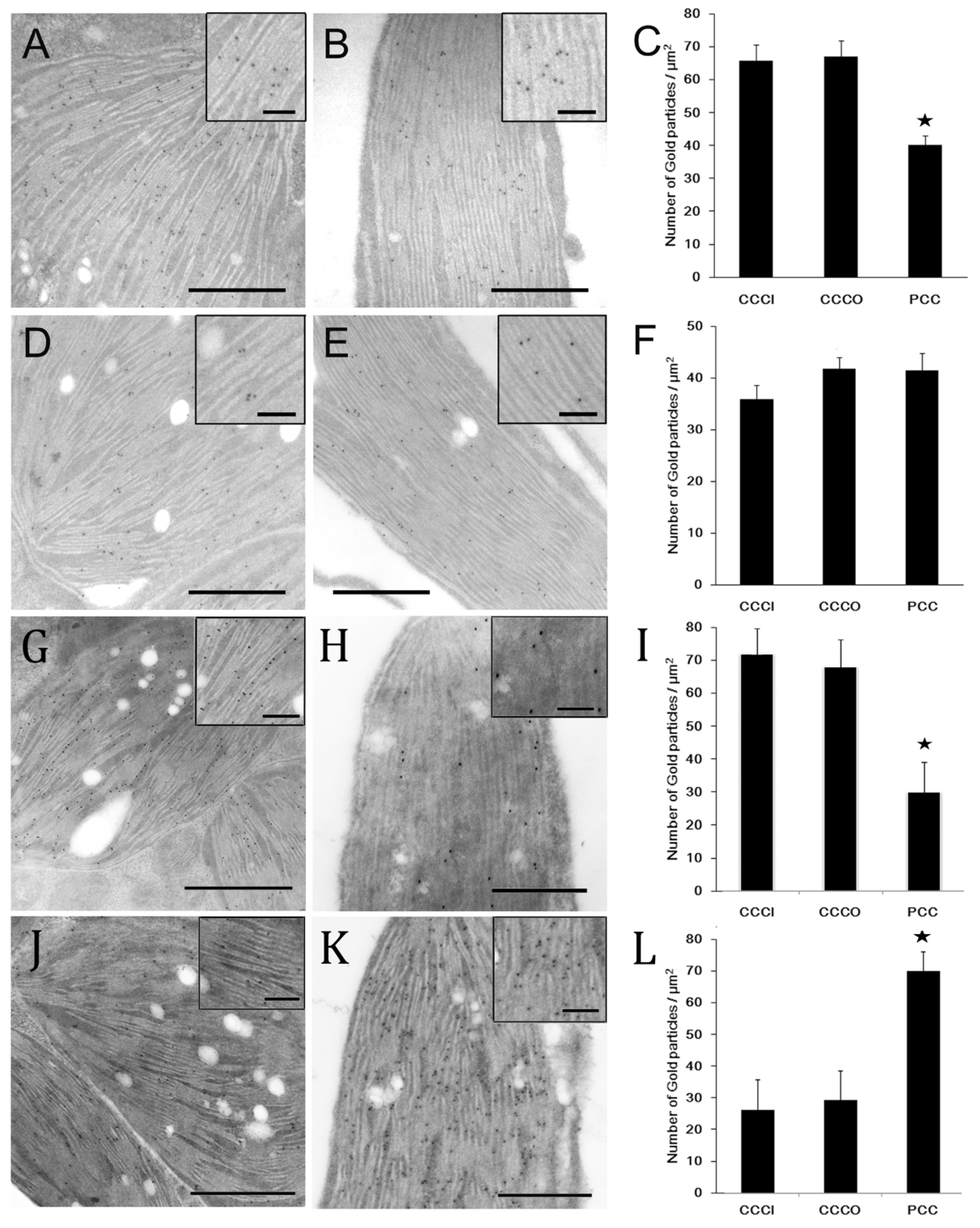Plants 12 00077 g005