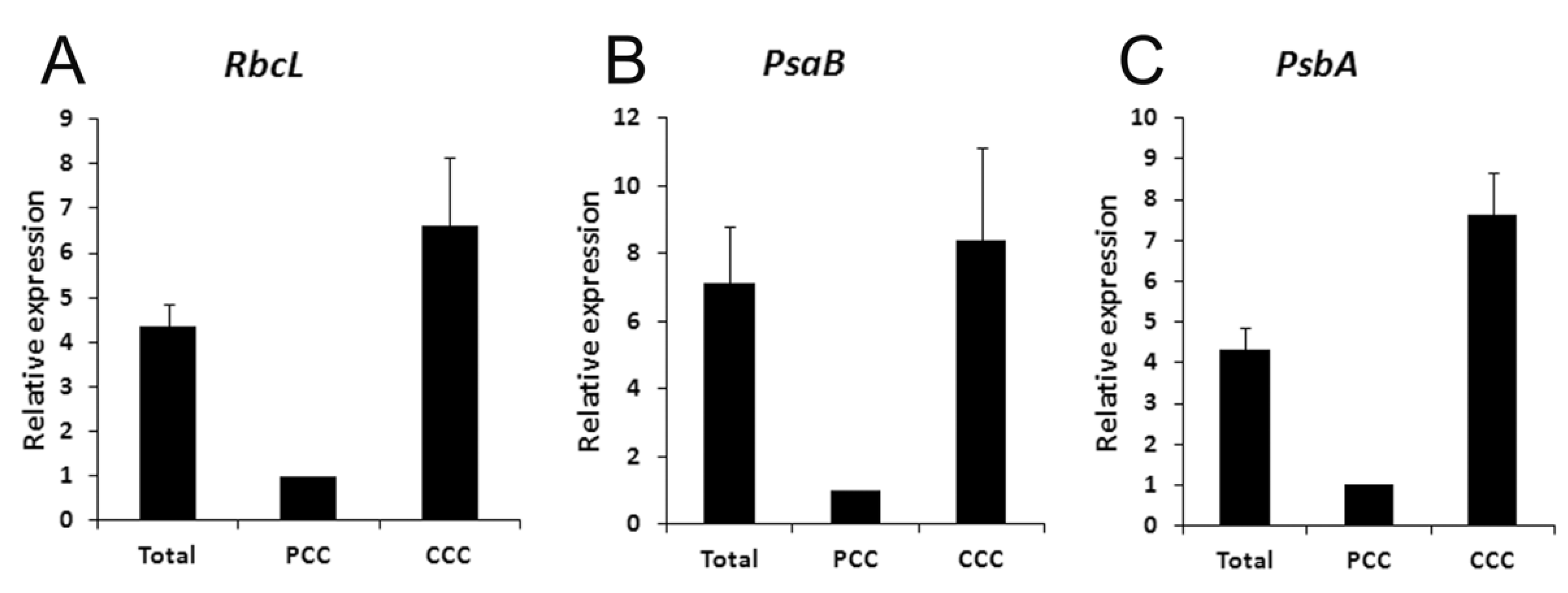 Plants 12 00077 g007