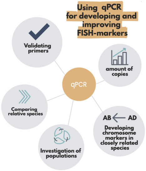 qPCR as a Selective Tool for Cytogenetics 