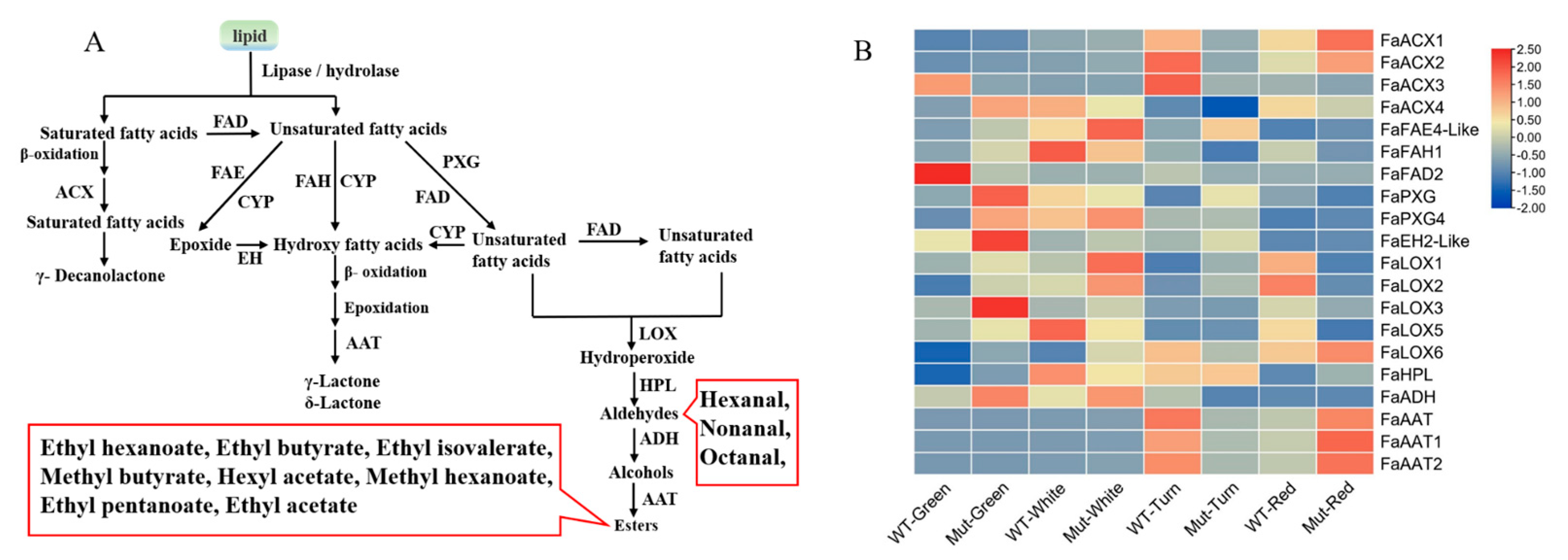 Plants 12 00082 g005 Plants 12 00082 g005