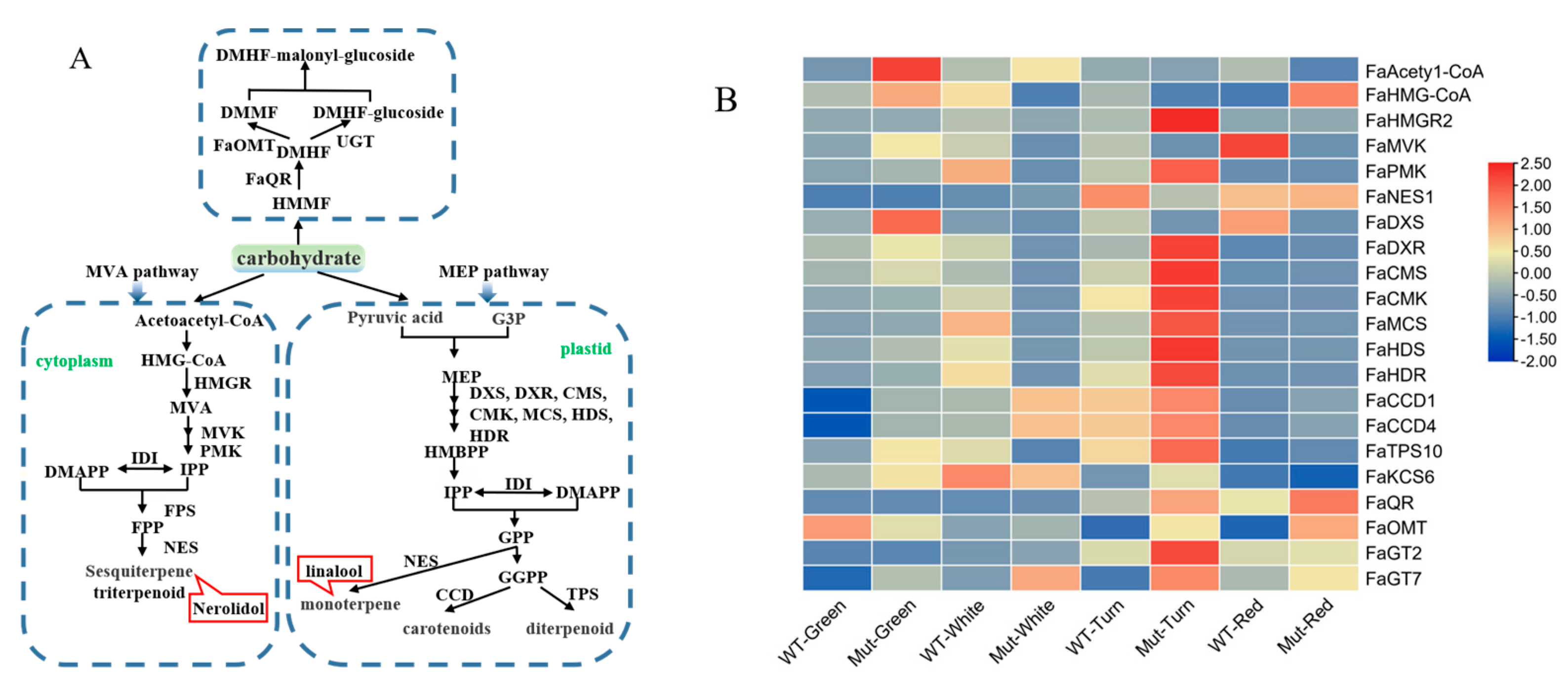 Plants 12 00082 g006 Plants 12 00082 g006
