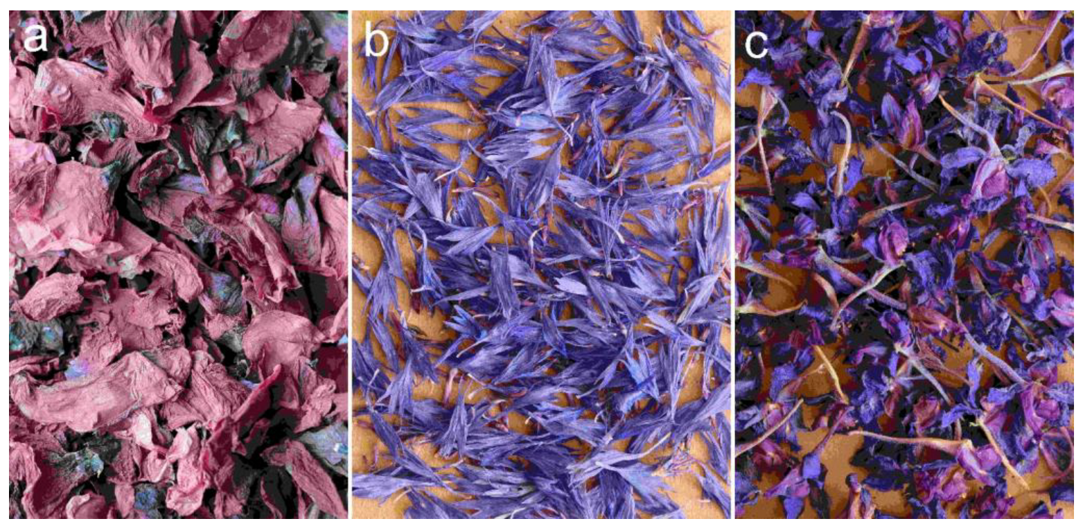 Plants 12 00084 g002 Plants 12 00084 g002