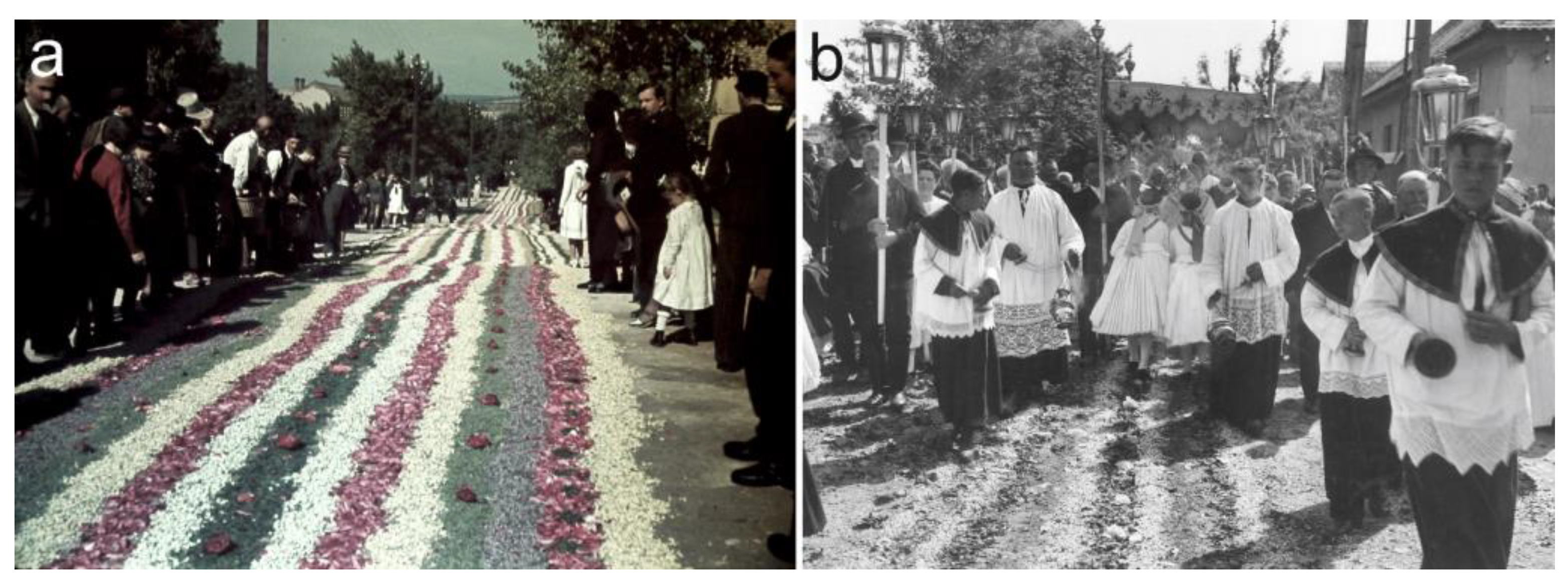 Plants 12 00084 g006 Plants 12 00084 g006