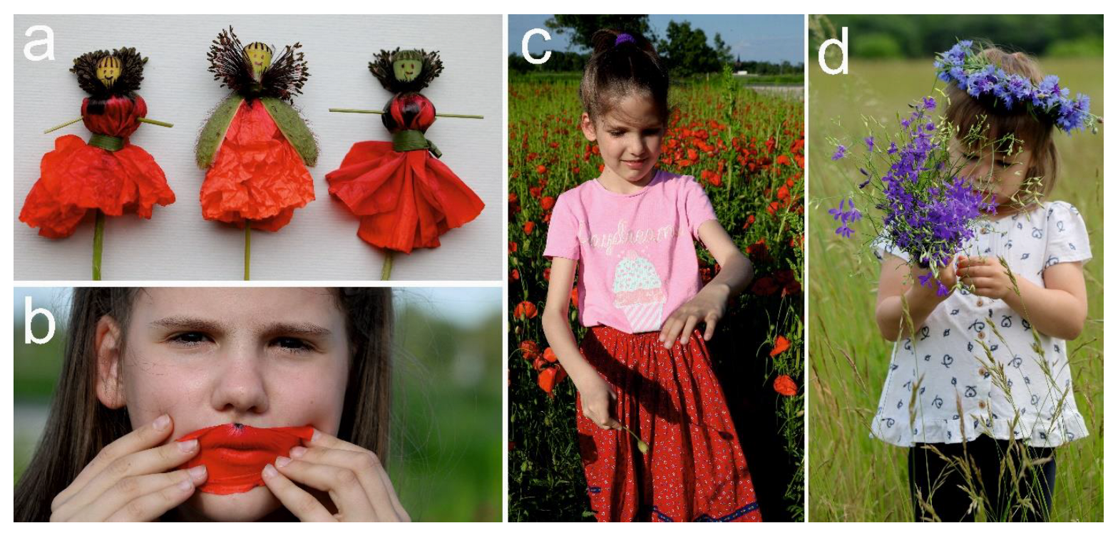 Plants 12 00084 g007 Plants 12 00084 g007