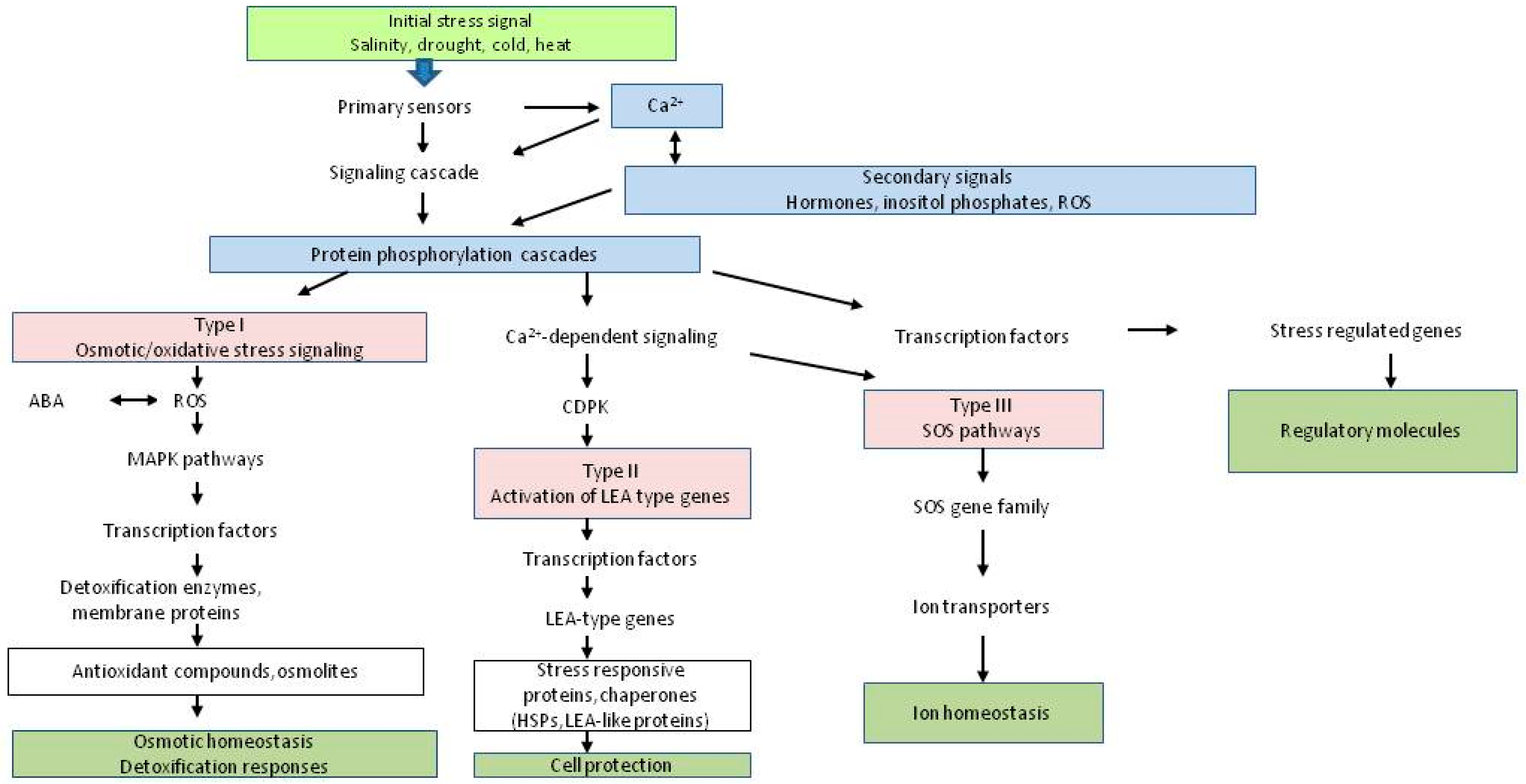 Plants 12 00086 g002