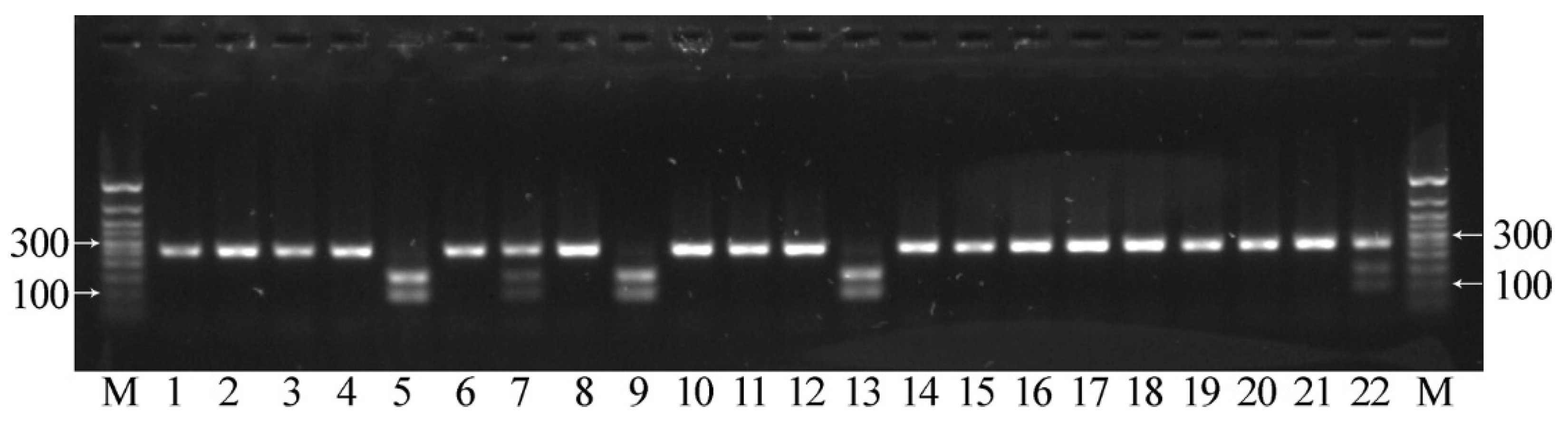 Plants 12 00095 g008