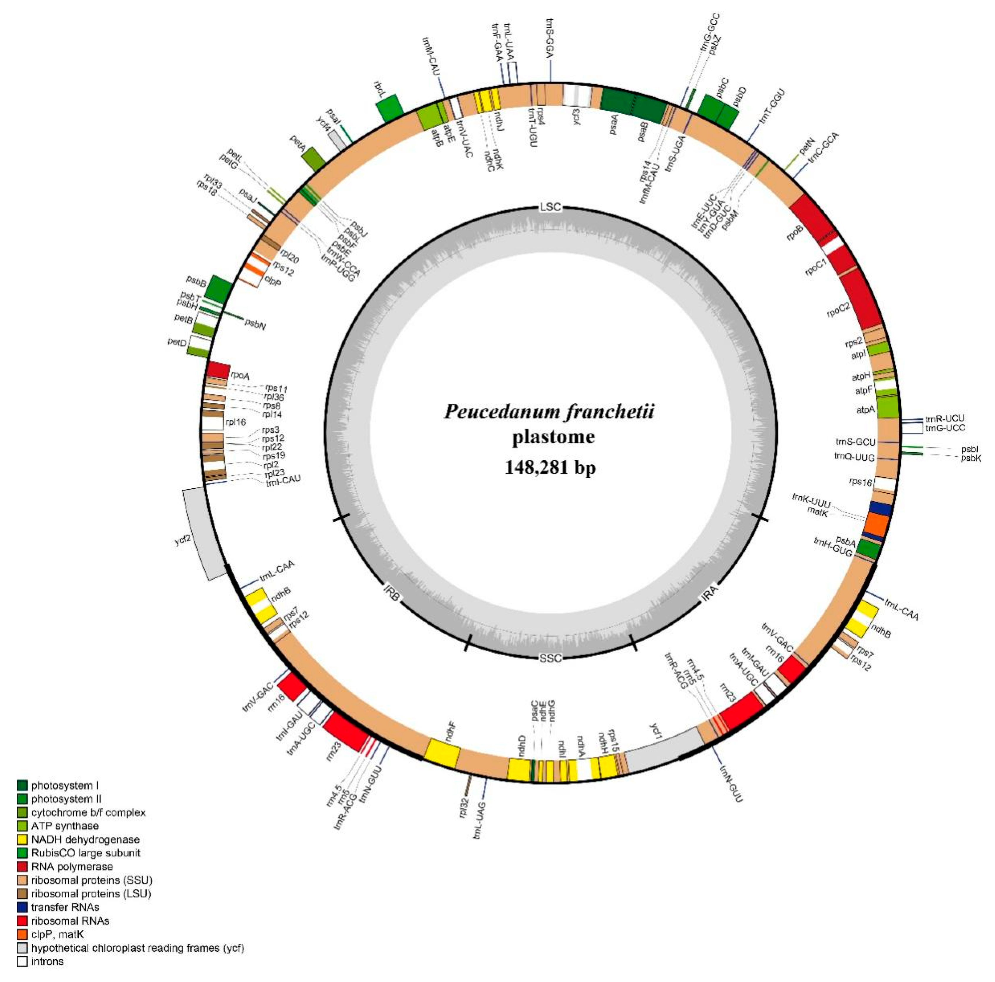 Plants | Free Full-Text | Plastid Phylogenomic Analyses Reveal the 