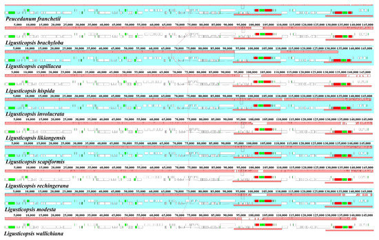 Mr.X 日本語版 Plastid Phylogenomic Analyses Reveal the Taxonomic Position