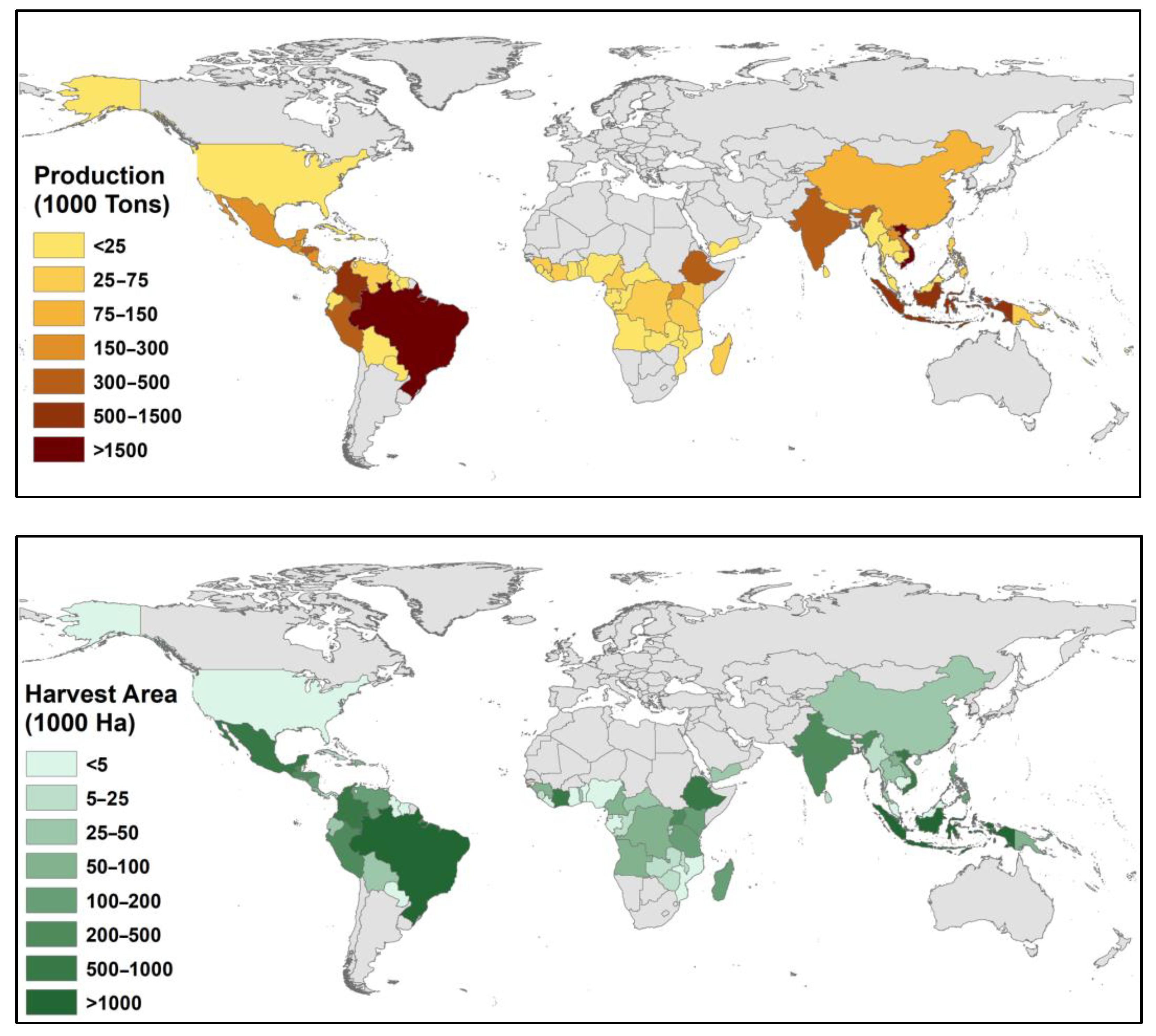 Robusta harvest advances in the main producer regions of Brazil