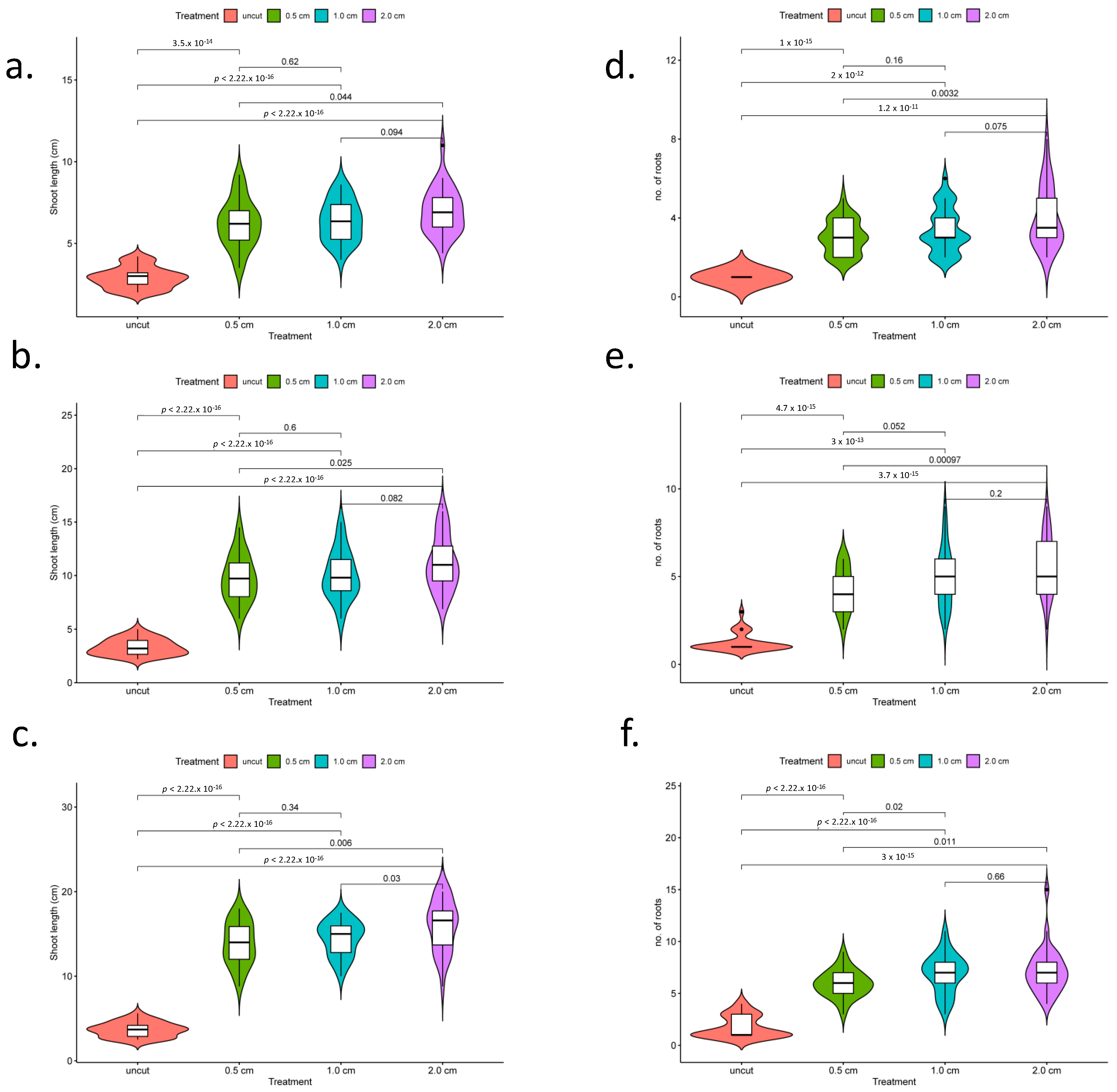 Plants 12 00105 g002 Plants 12 00105 g002