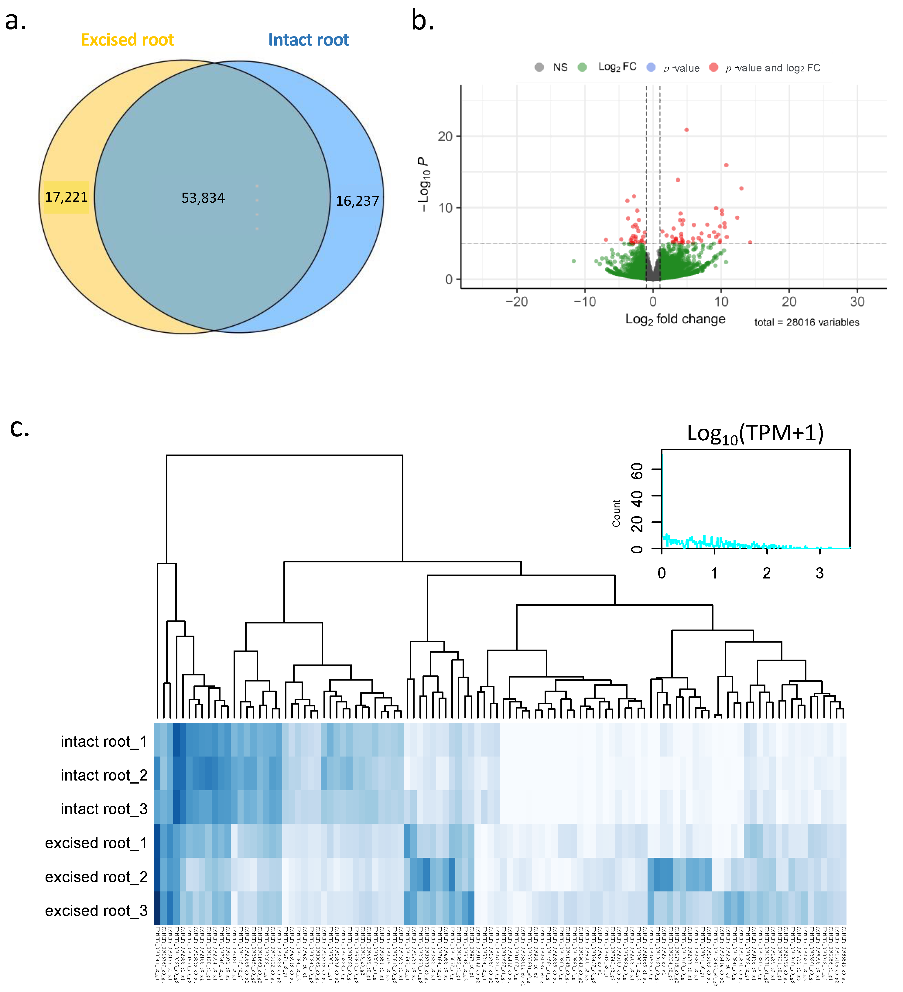 Plants 12 00105 g003 Plants 12 00105 g003
