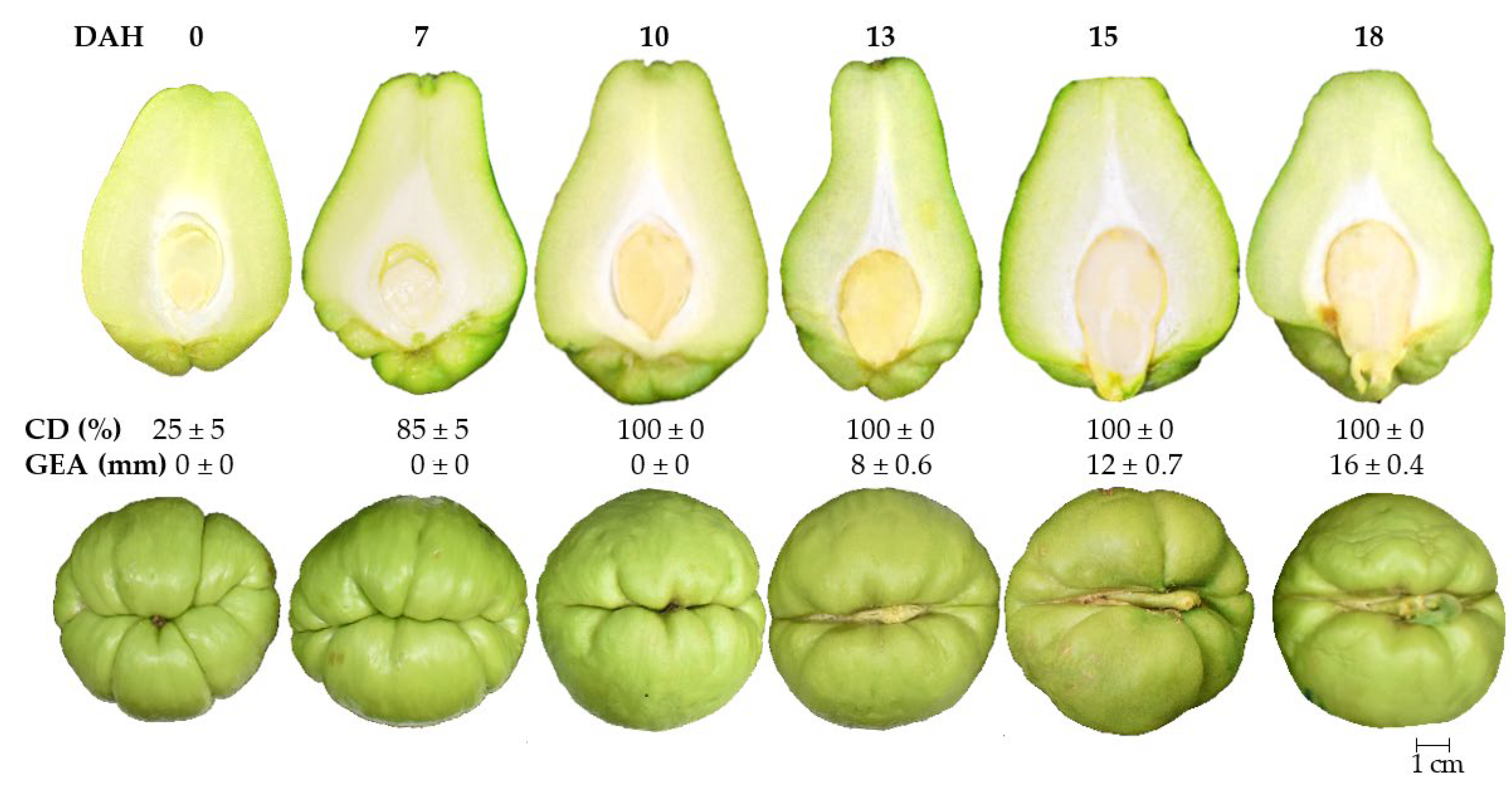 Plants 12 00108 g006 Plants 12 00108 g006