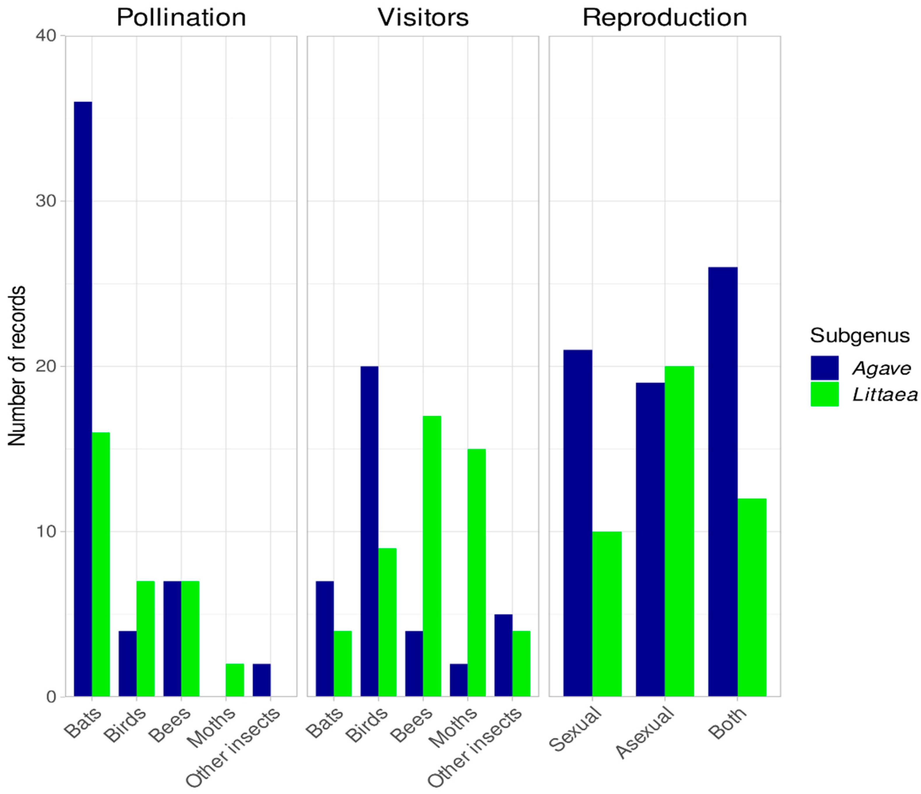 Plants 12 00124 g005 Plants 12 00124 g005